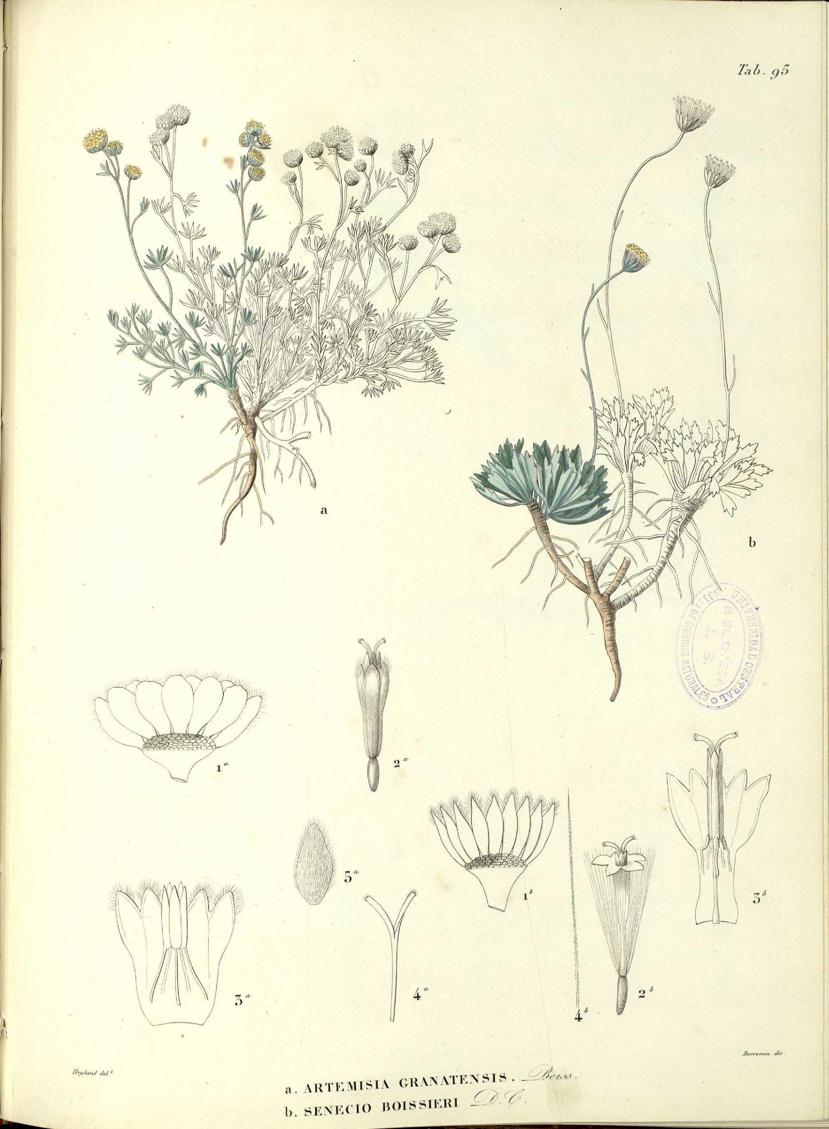 no full size  illustration available (3a)