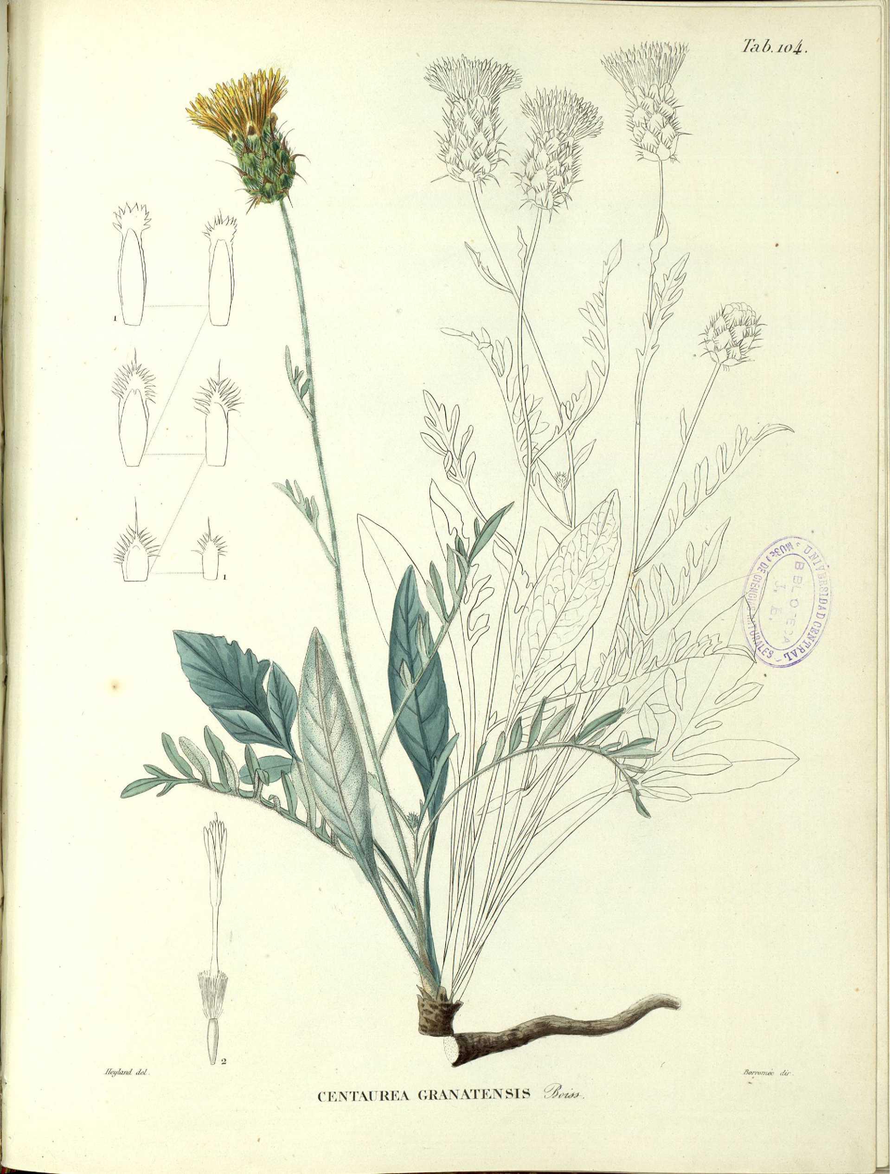 no full size  illustration available (3a)