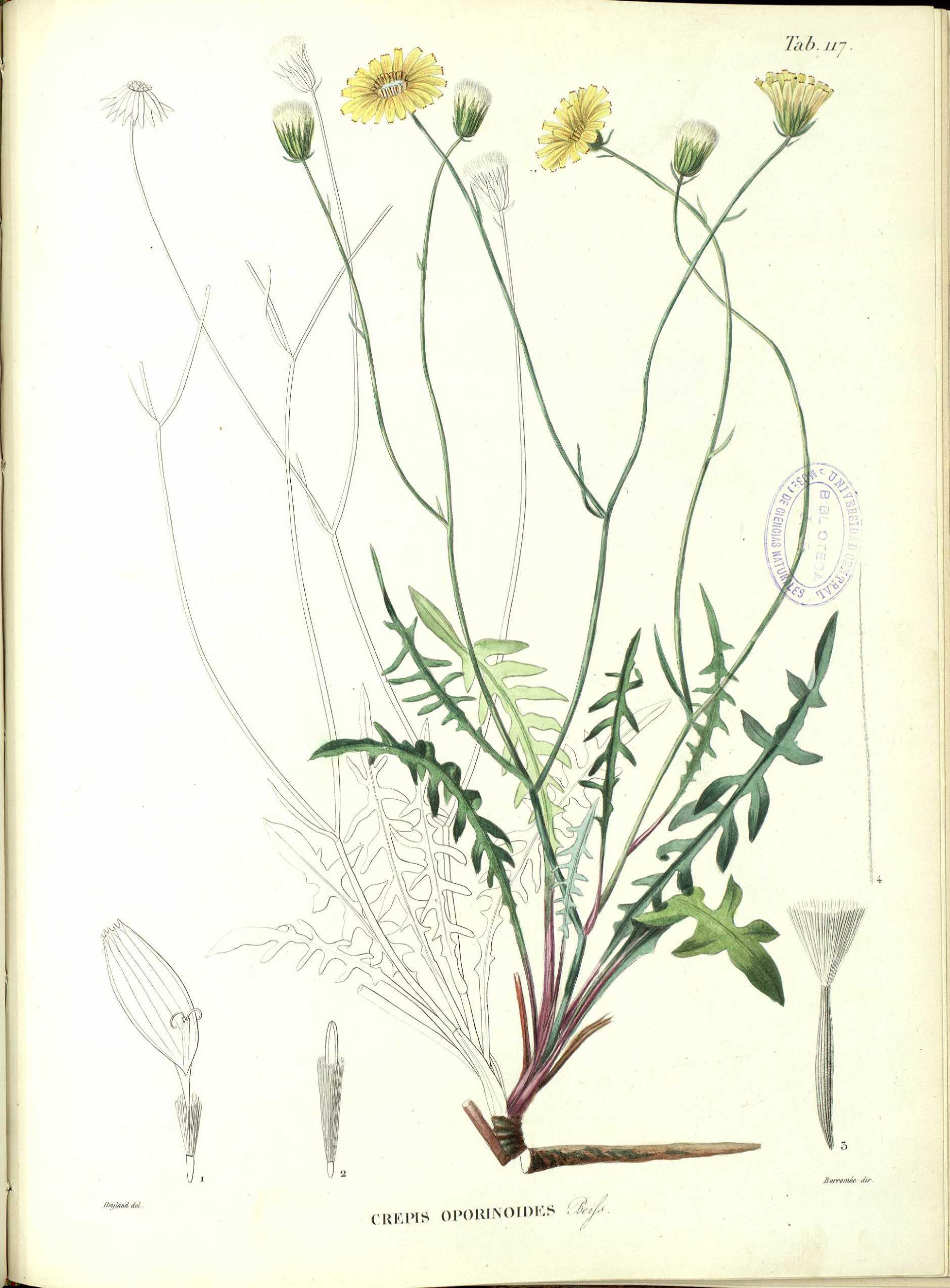 no full size  illustration available (3a)