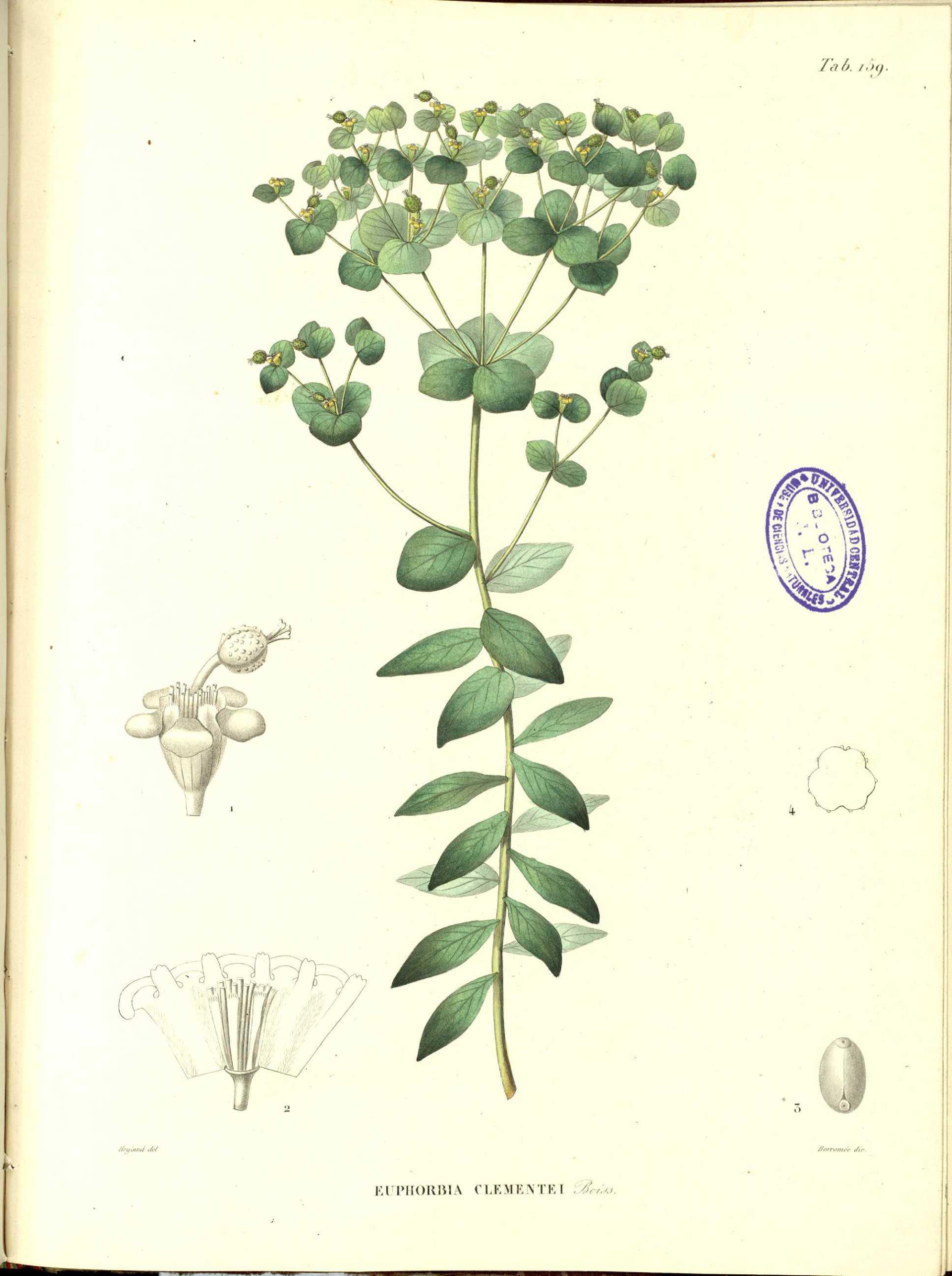 no full size  illustration available (3a)