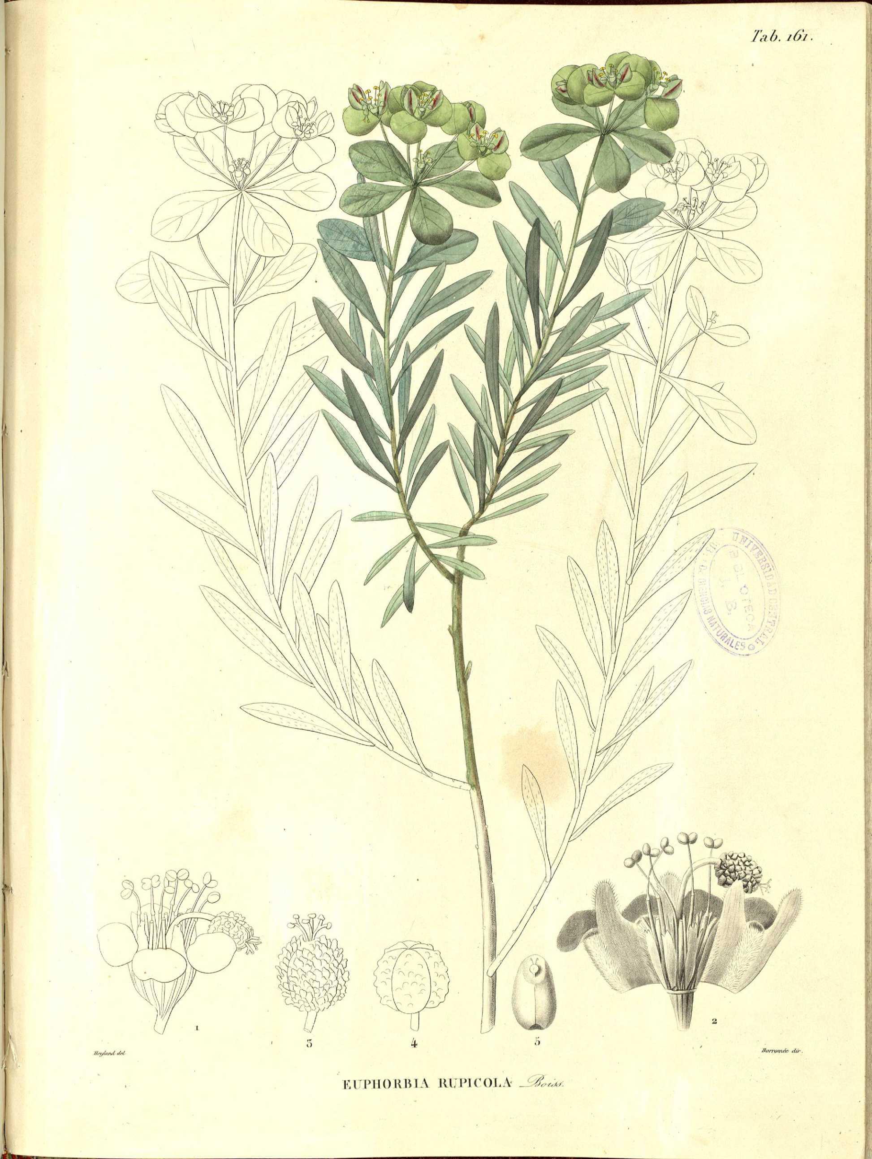 no full size  illustration available (3a)