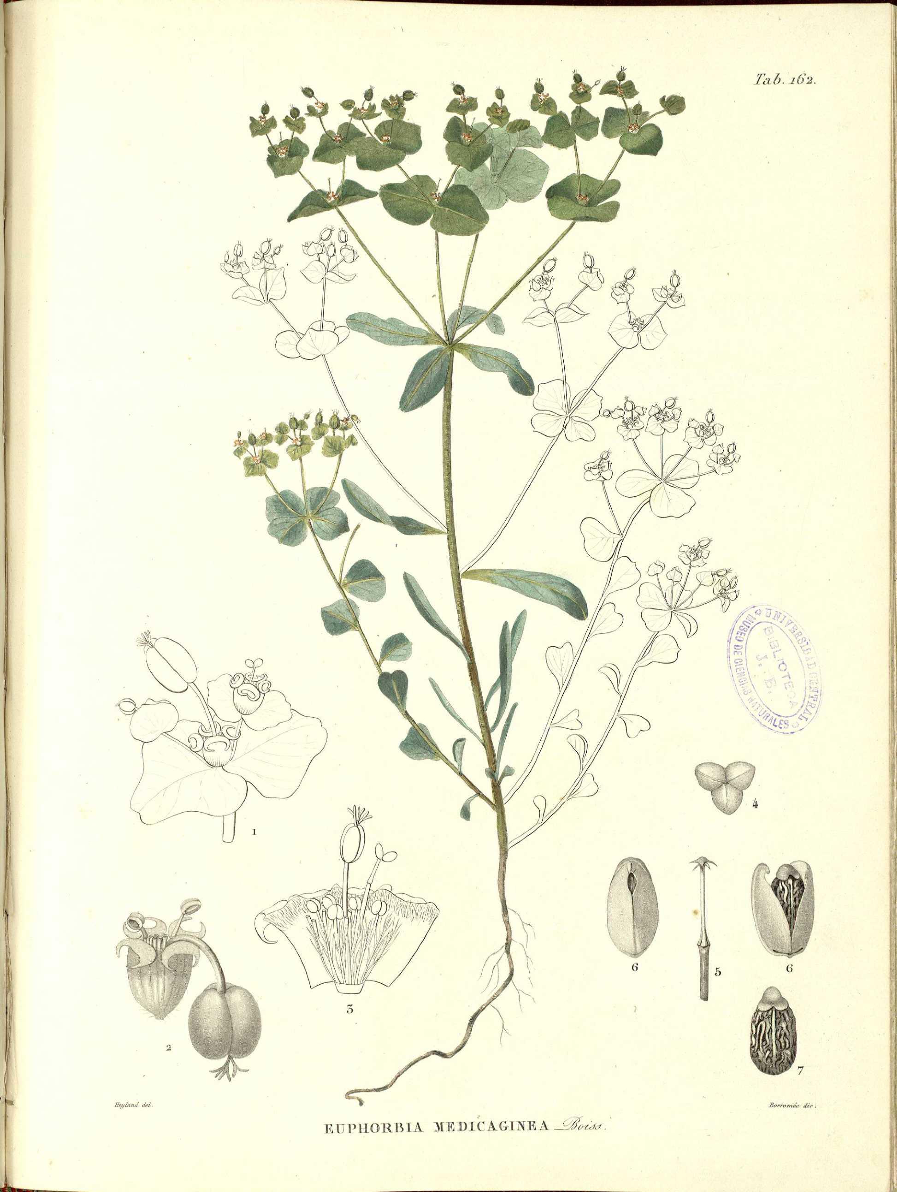 no full size  illustration available (3a)