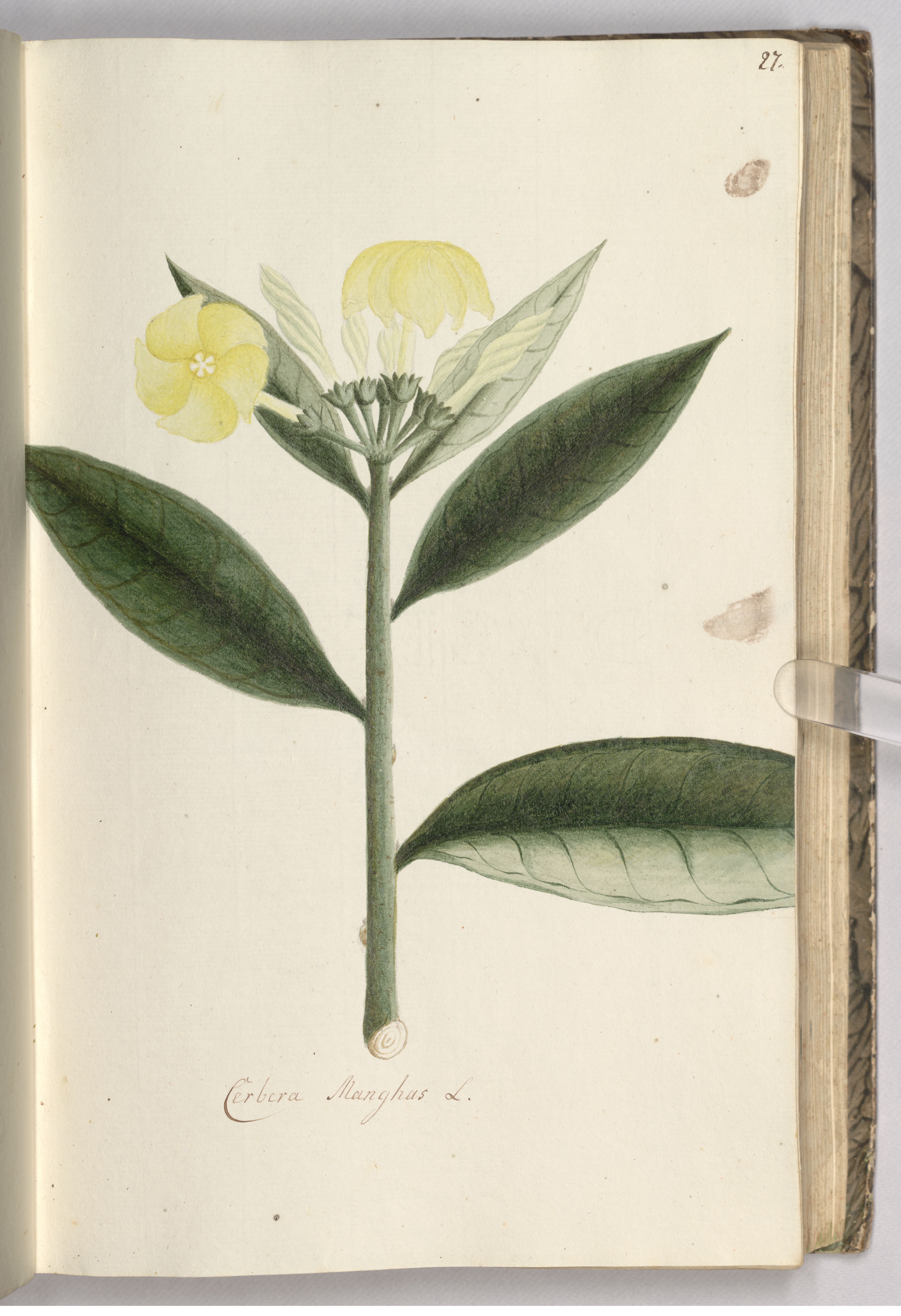 no full size  illustration available (3a)