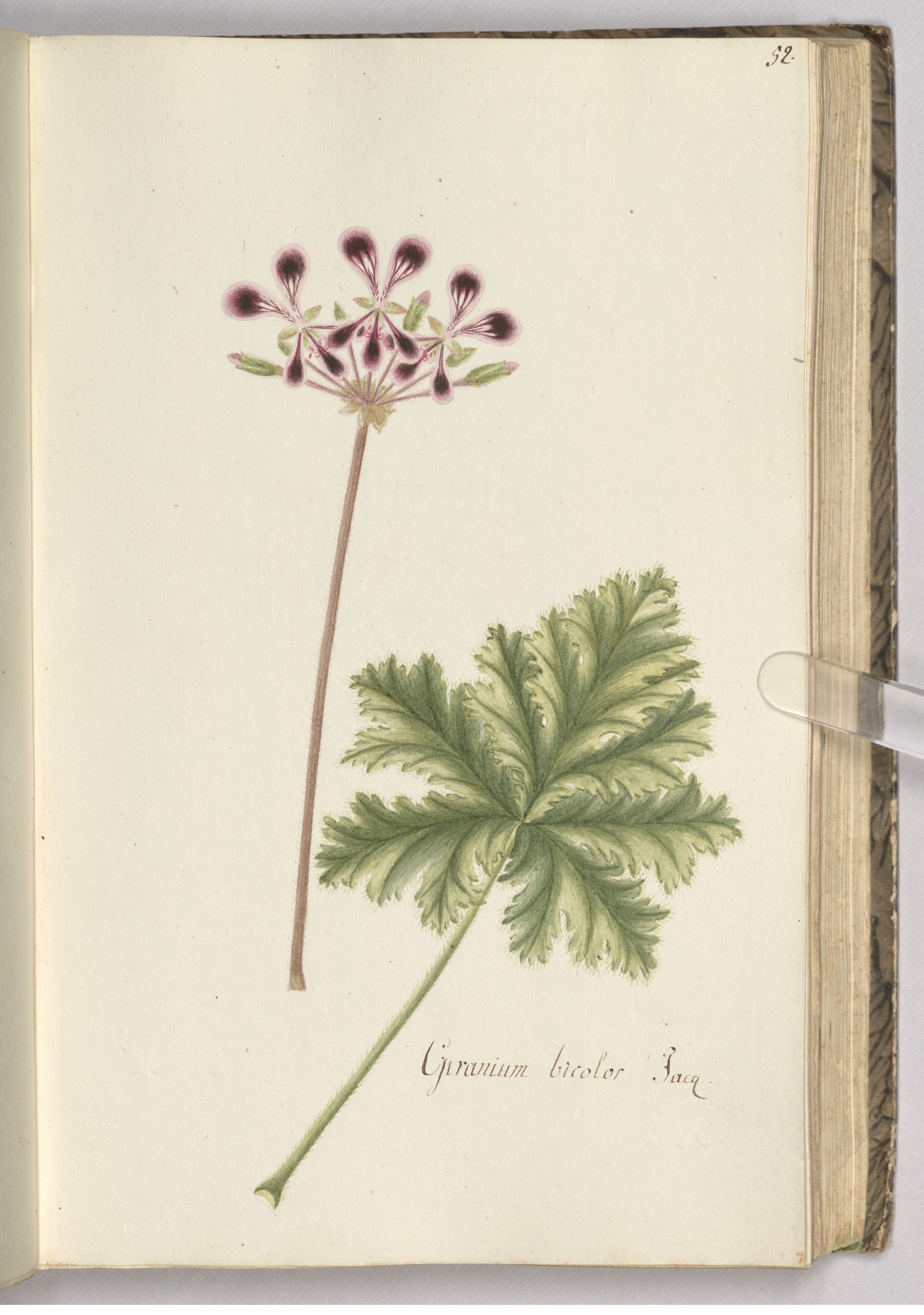 no full size  illustration available (3a)