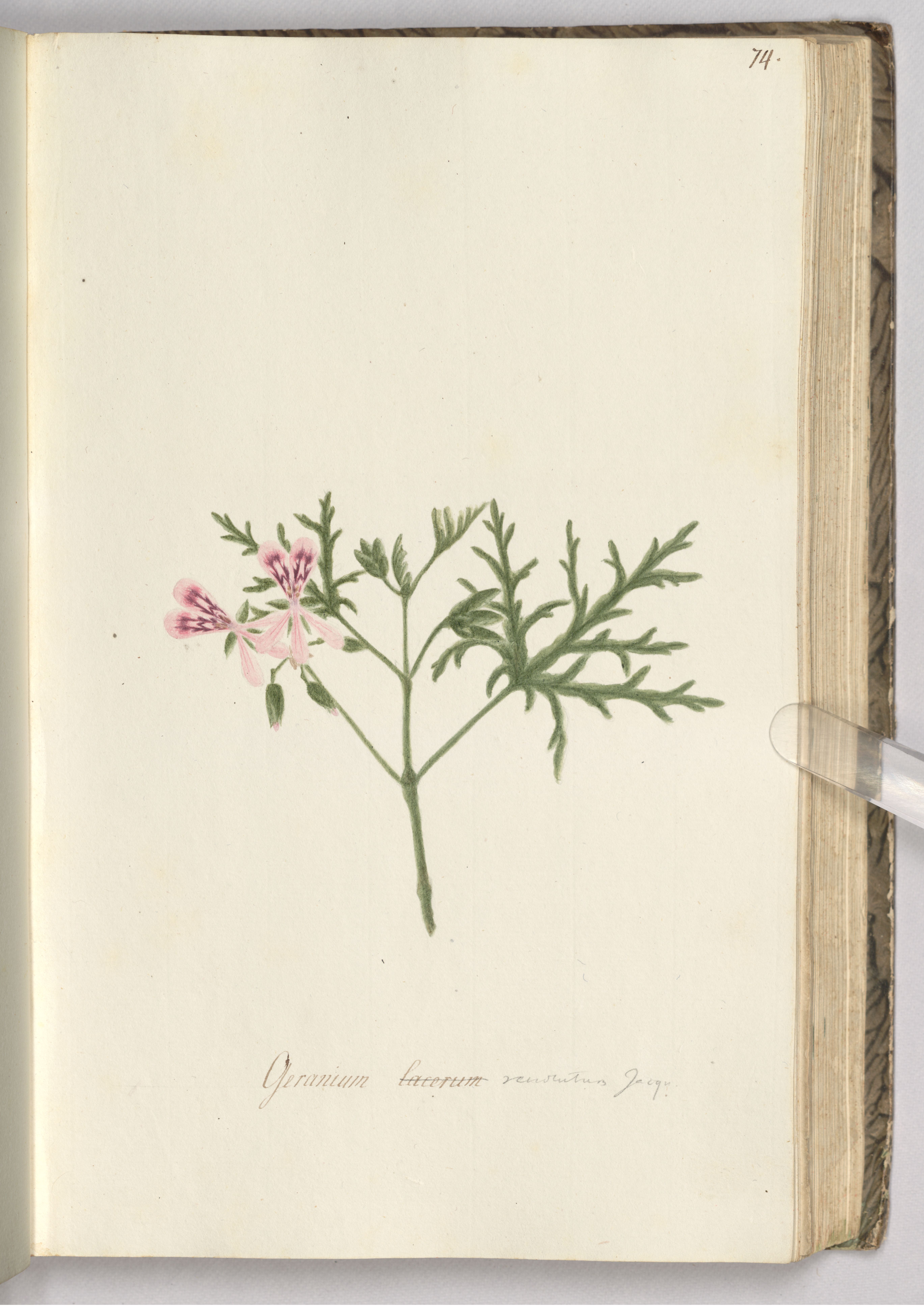 no full size  illustration available (3a)