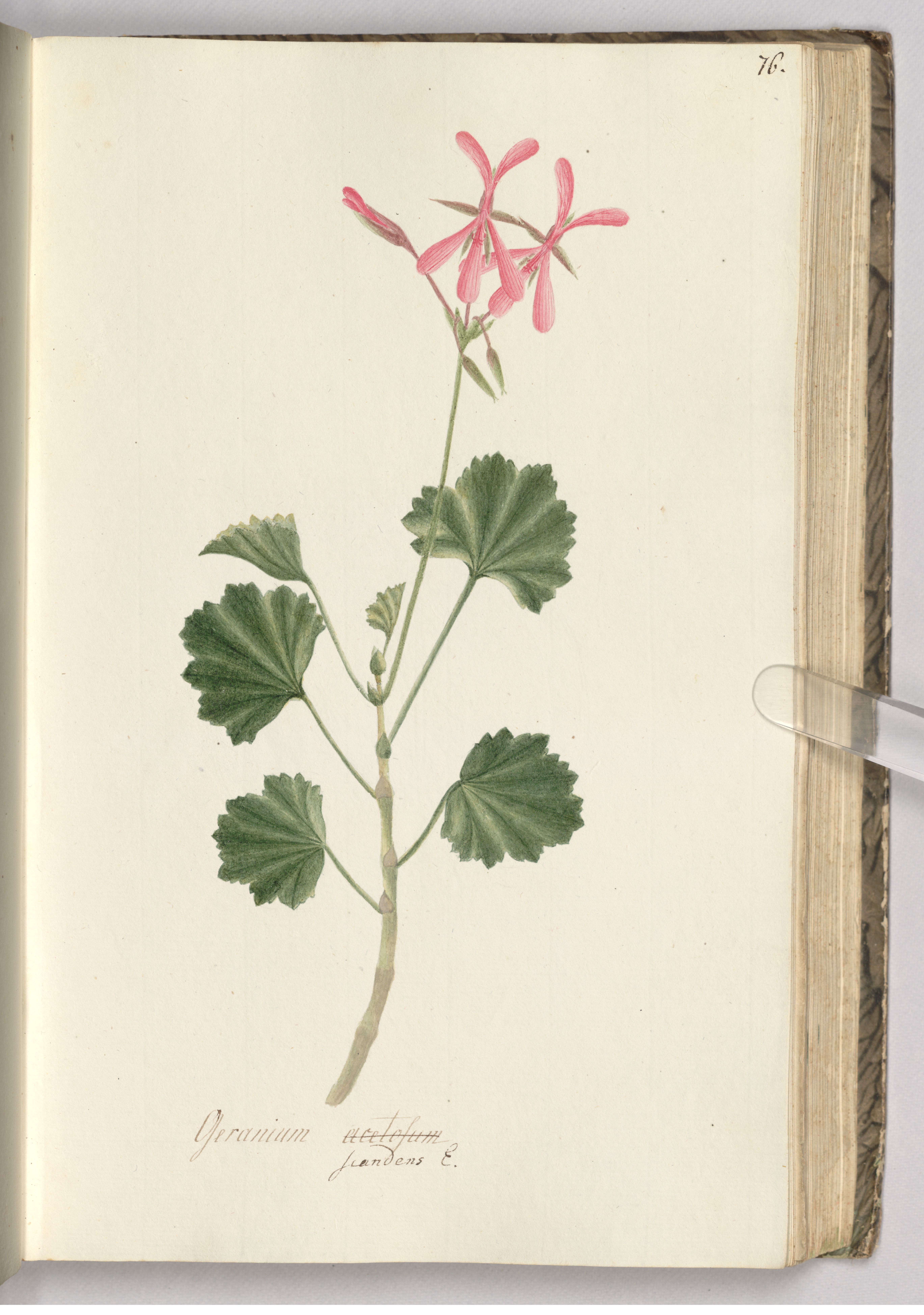 no full size  illustration available (3a)