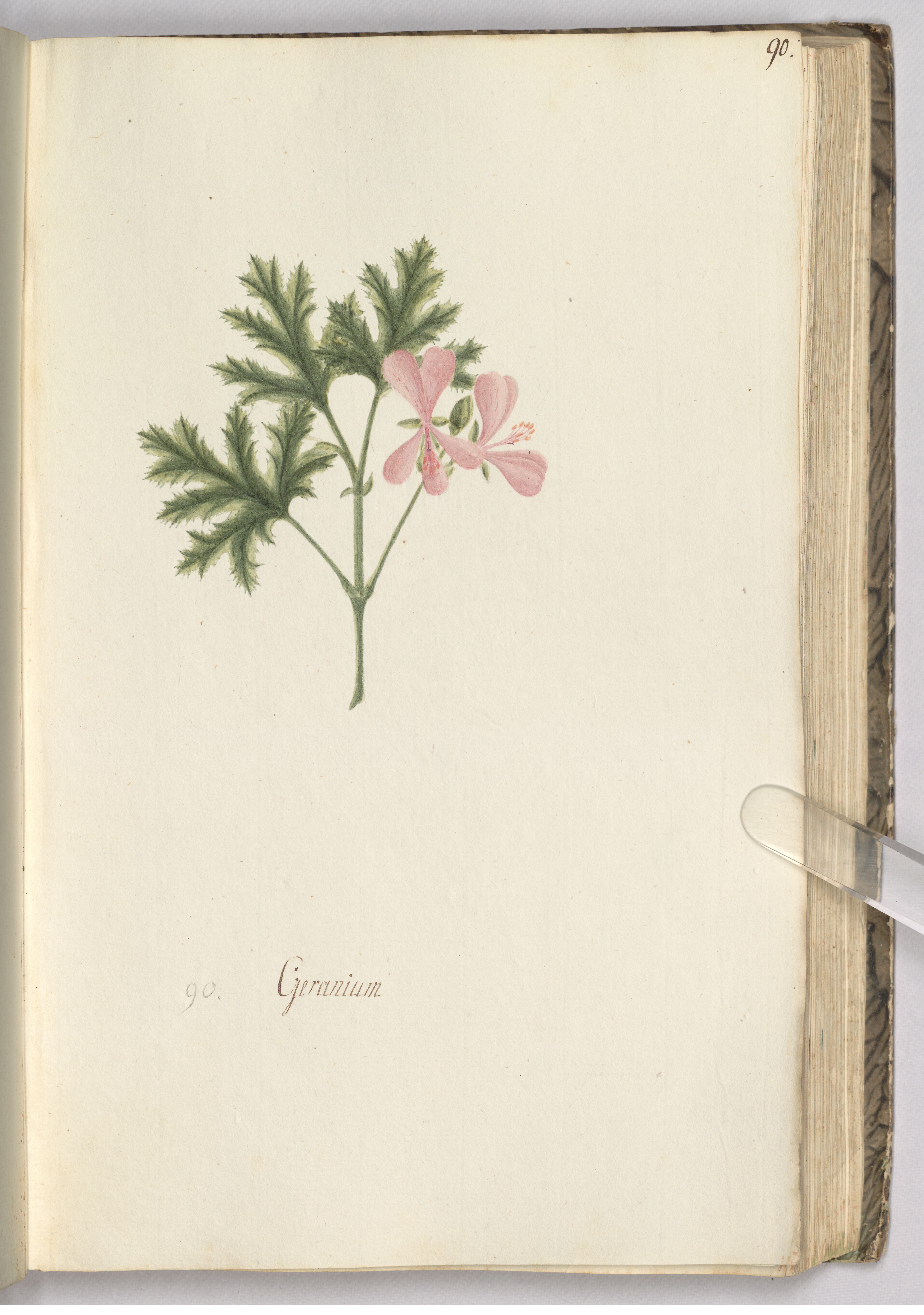 no full size  illustration available (3a)