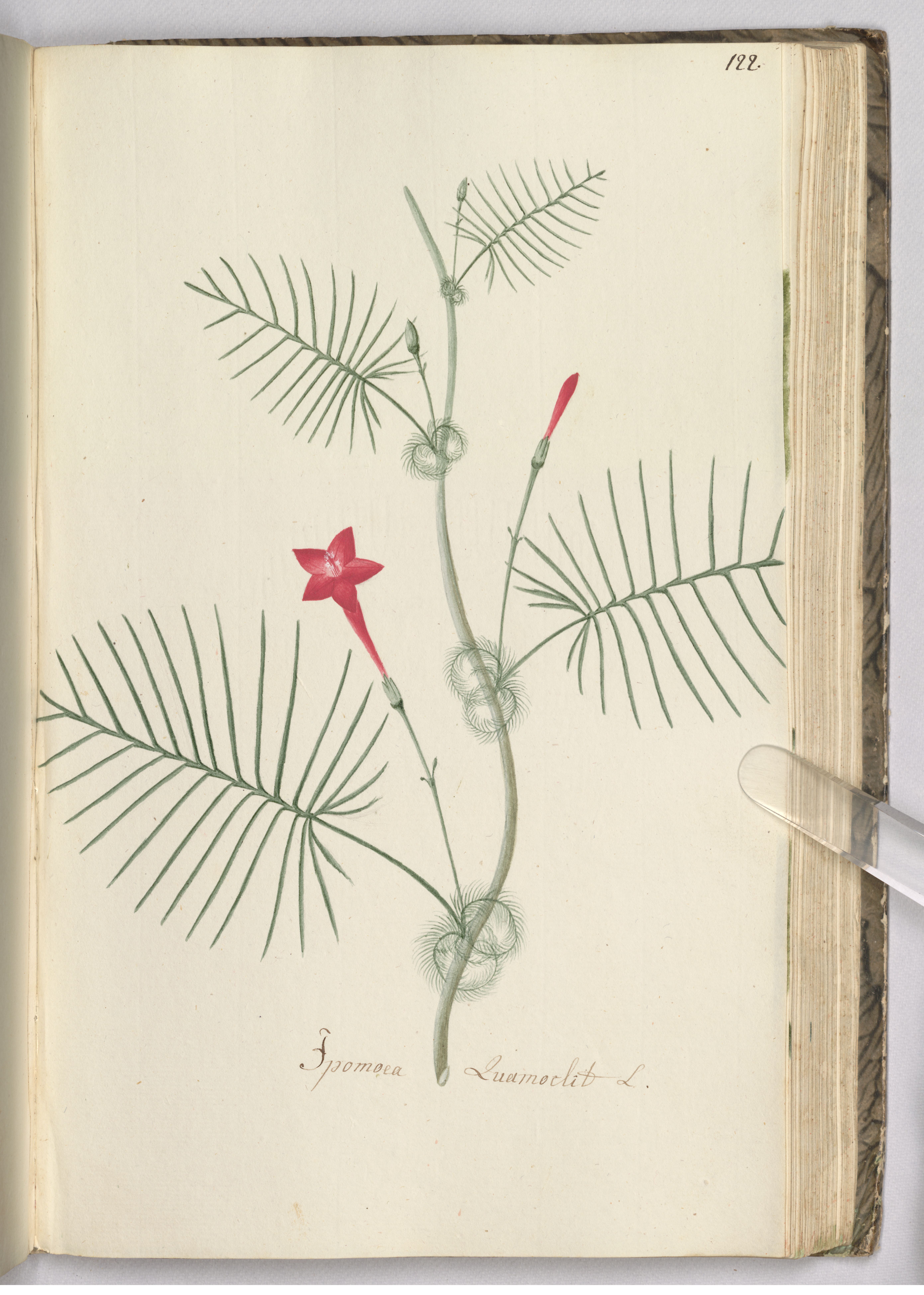 no full size  illustration available (3a)