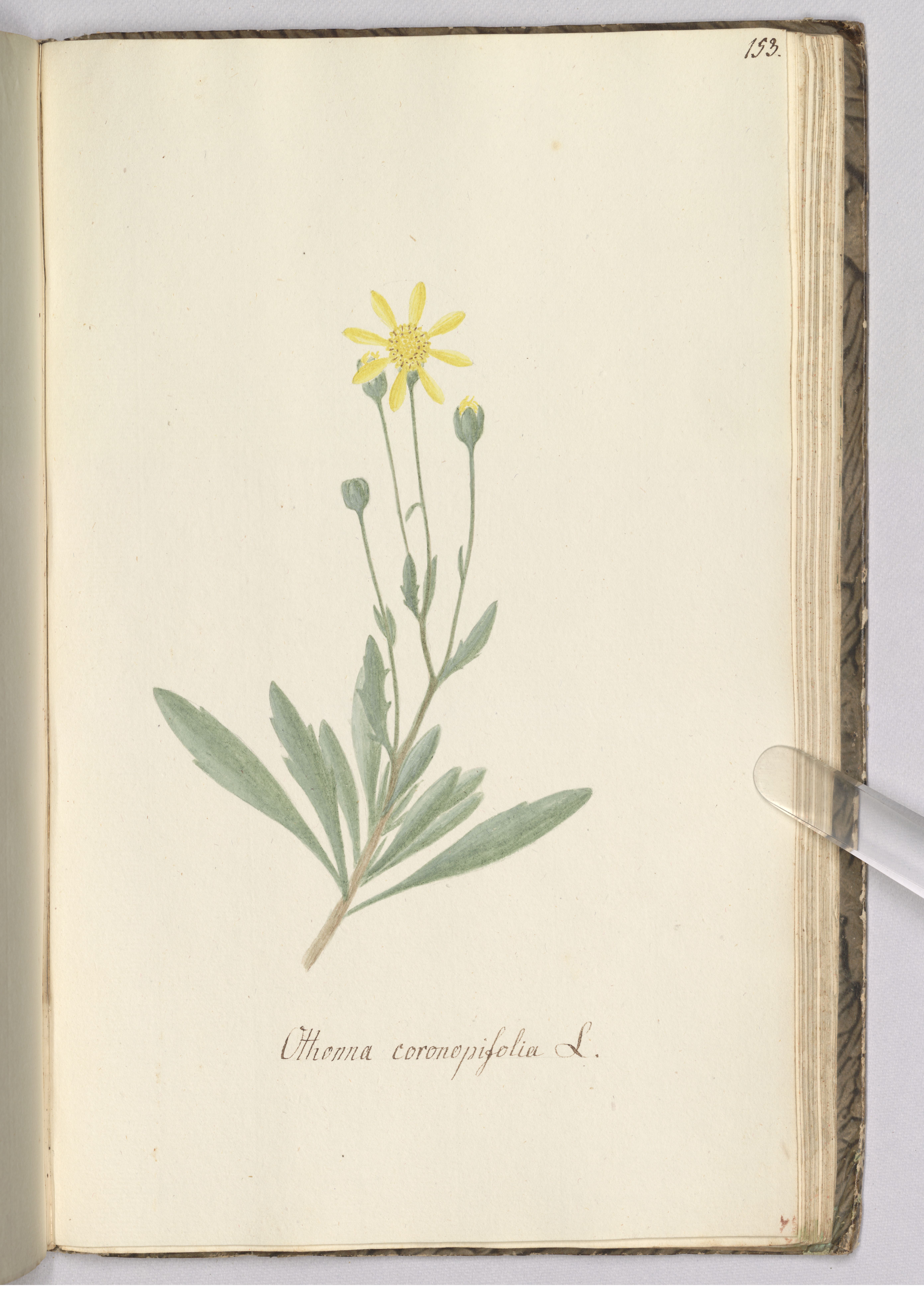 no full size  illustration available (3a)