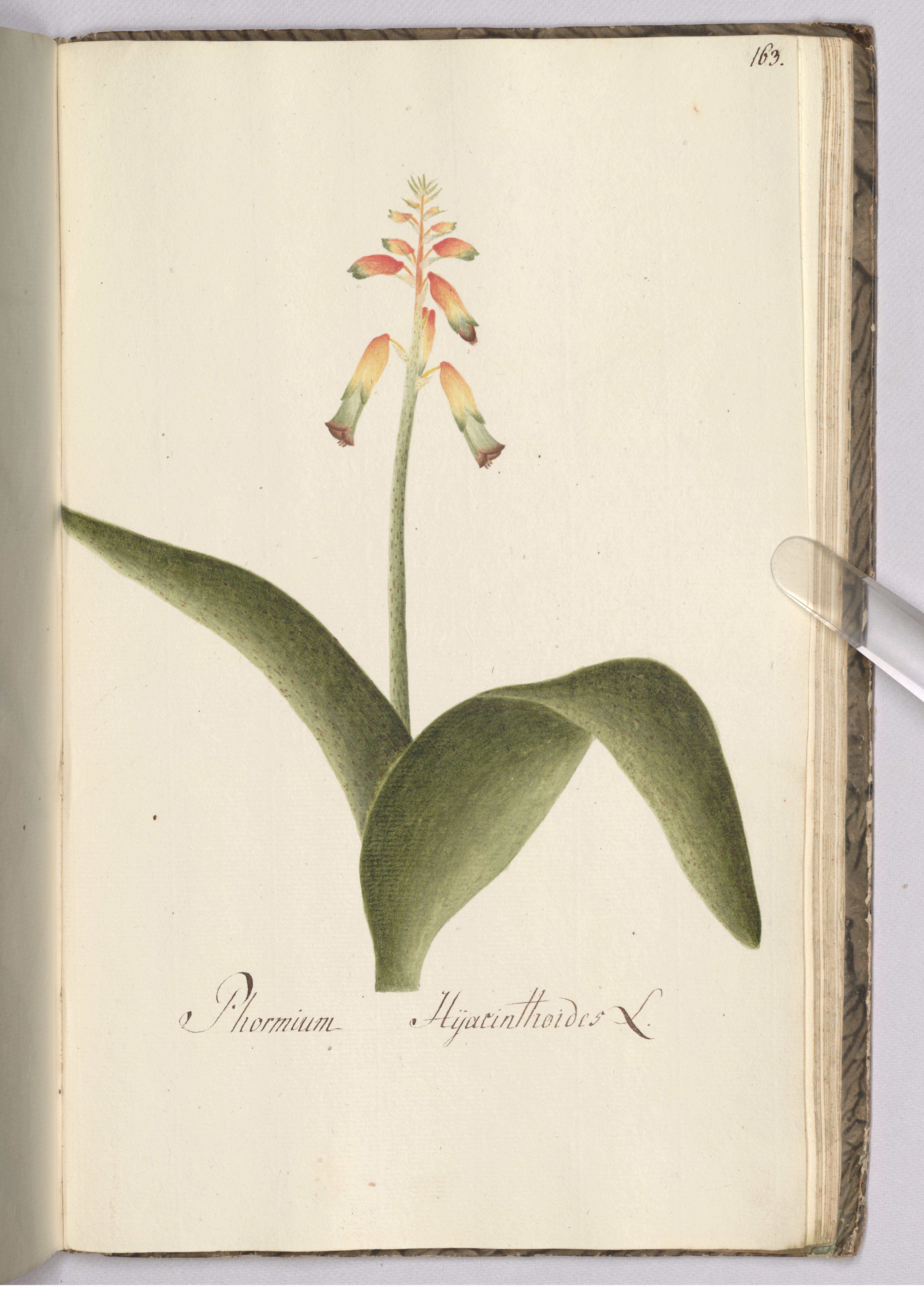 no full size  illustration available (3a)