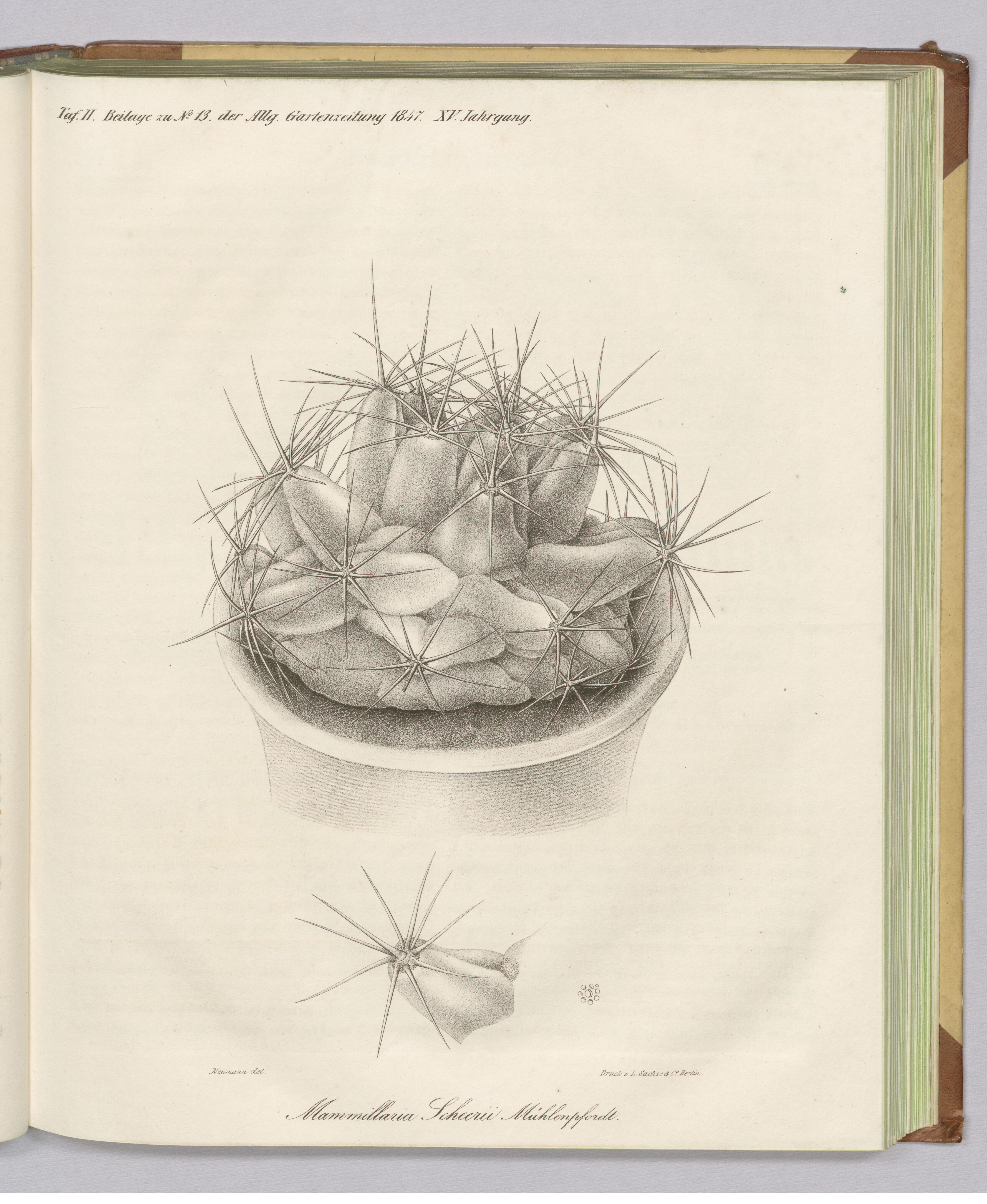 no full size  illustration available (3a)