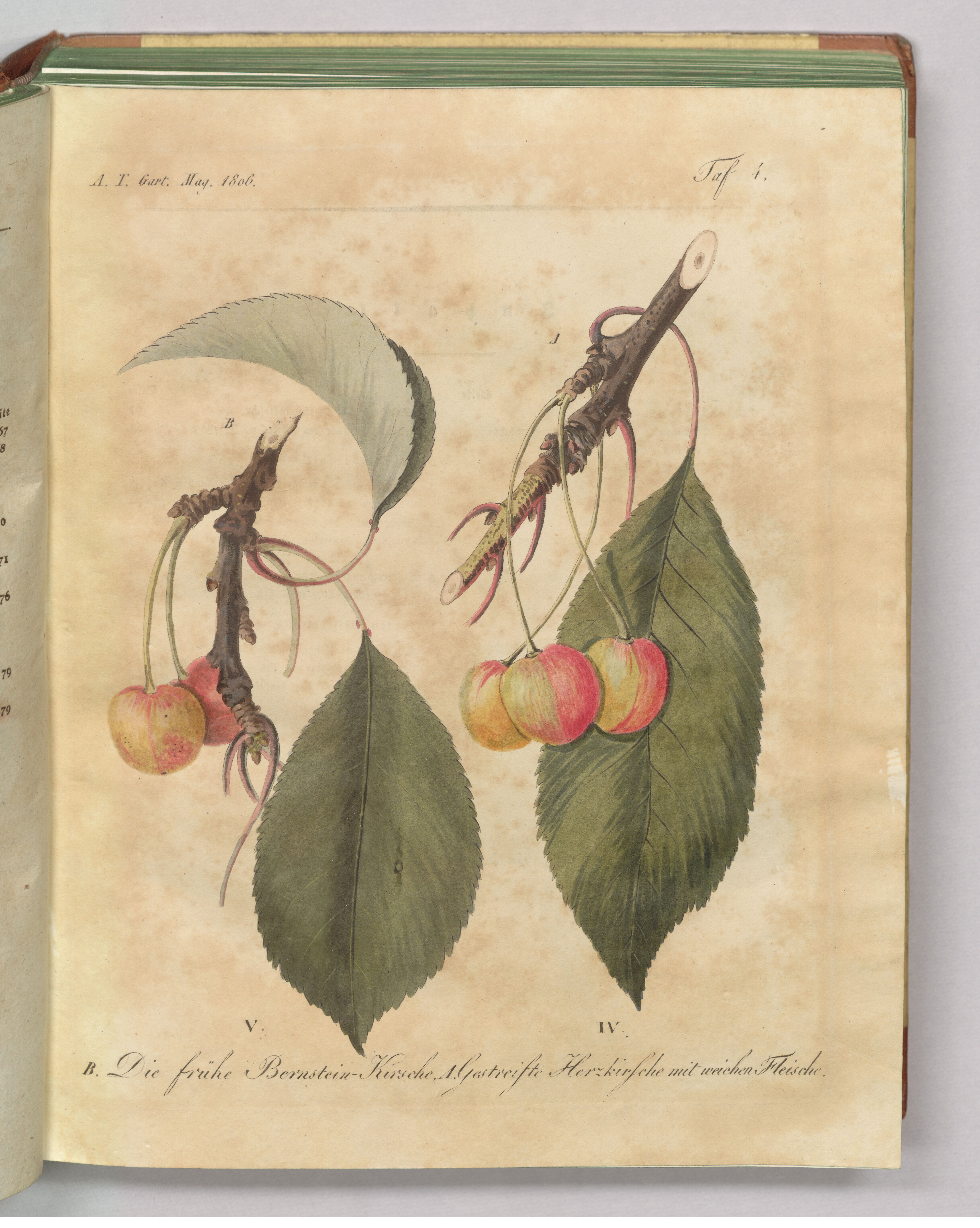 no full size  illustration available (3a)