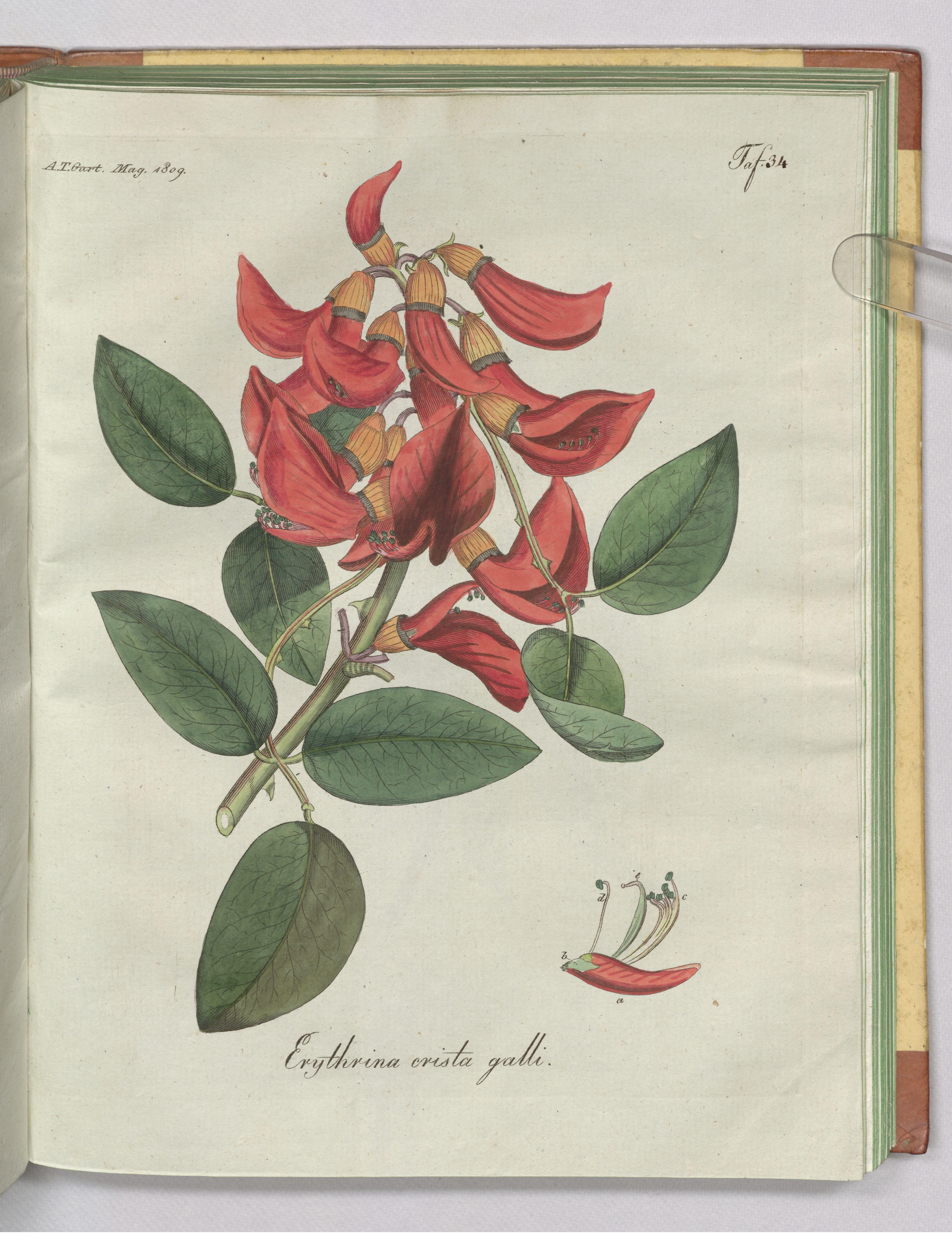 no full size  illustration available (3a)