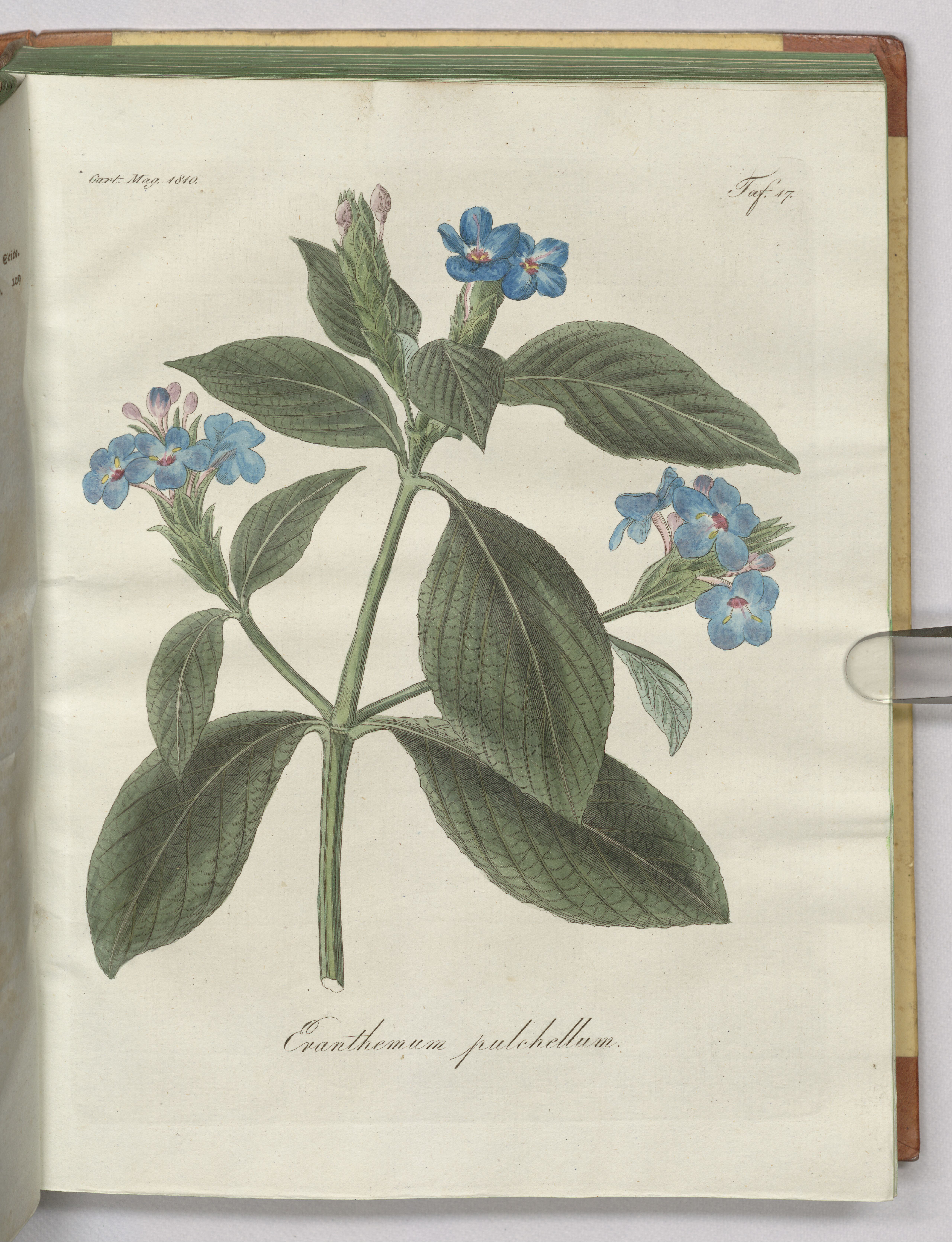 no full size  illustration available (3a)