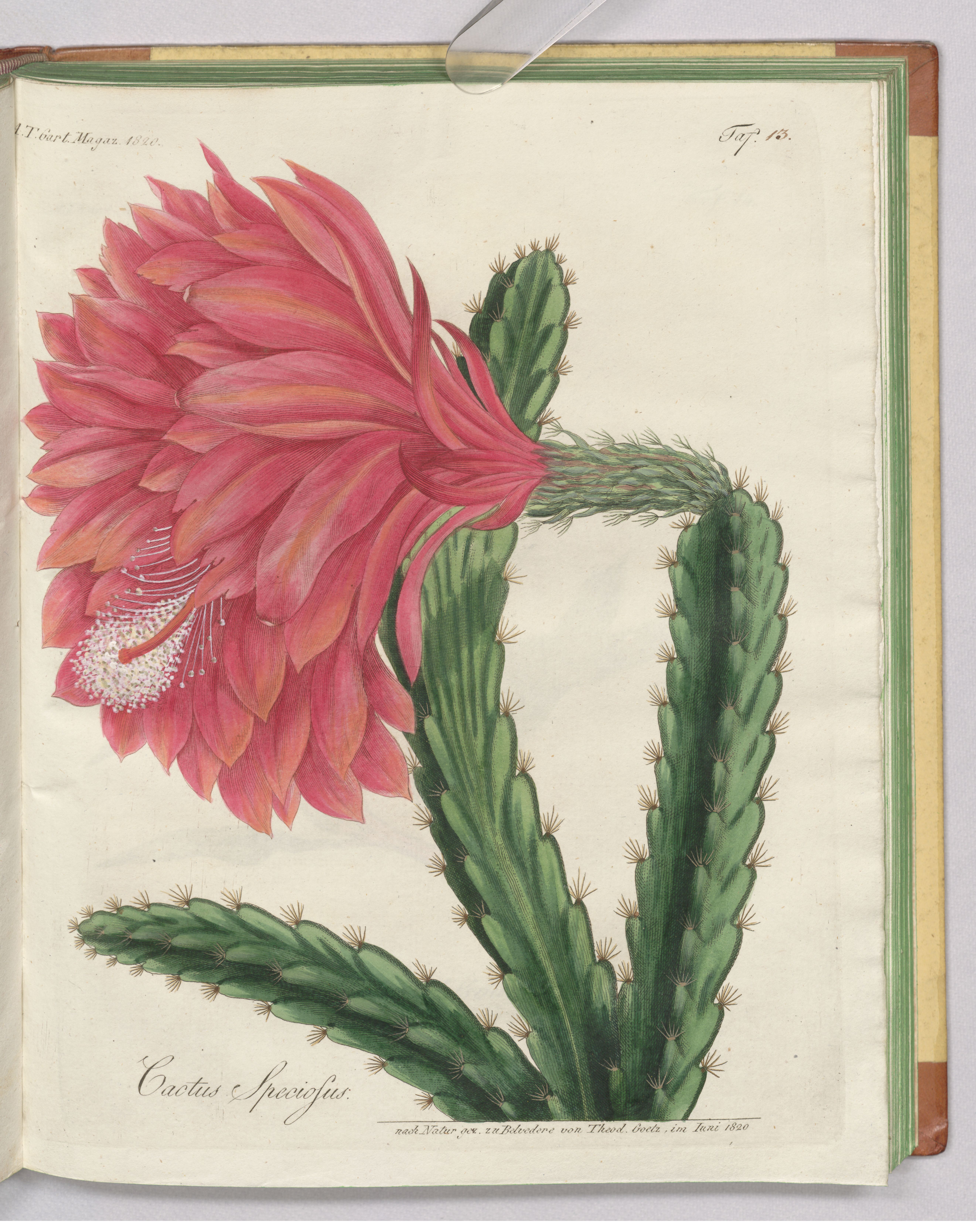 no full size  illustration available (3a)