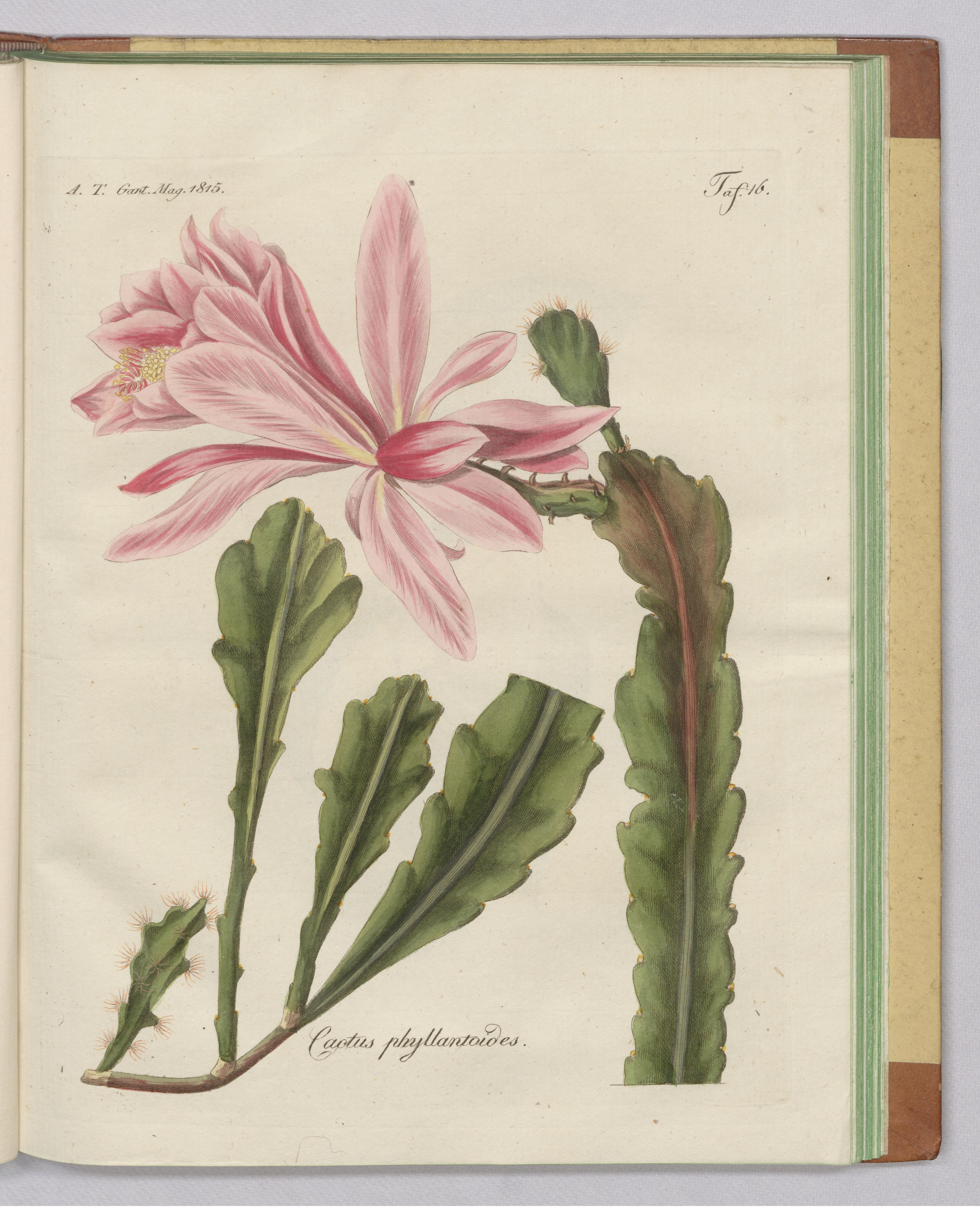 no full size  illustration available (3a)