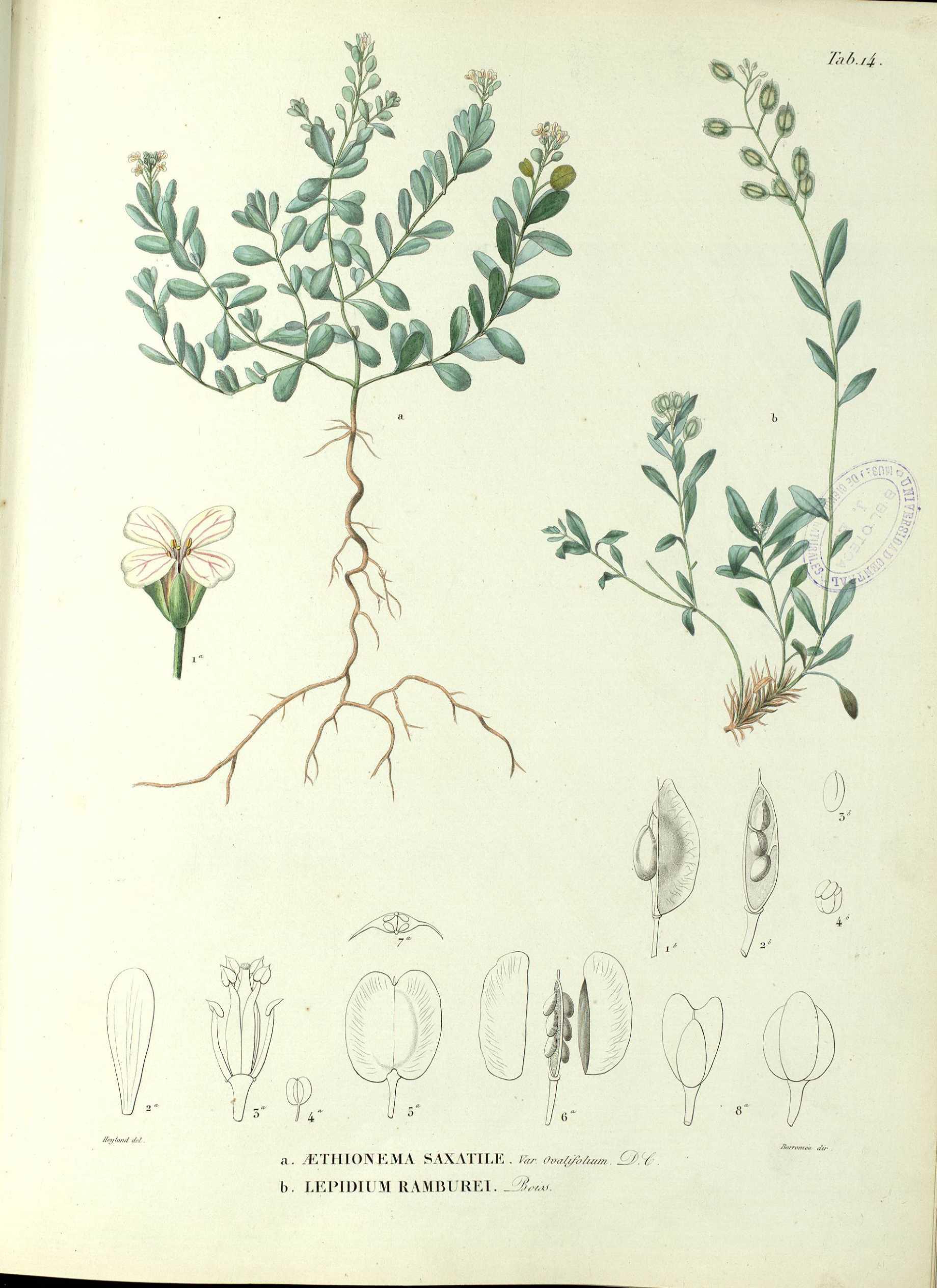 no full size  illustration available (3a)