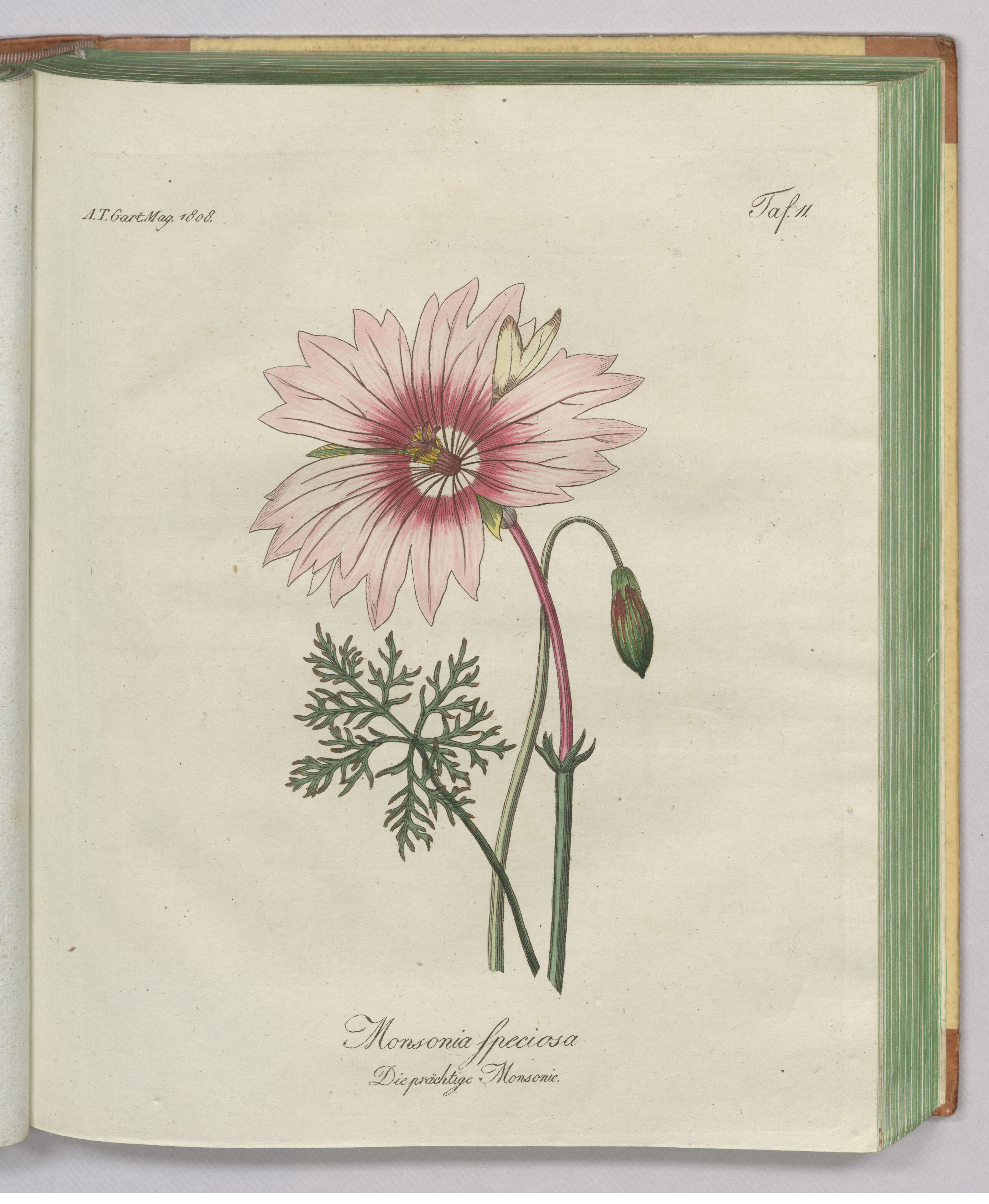 no full size  illustration available (3a)