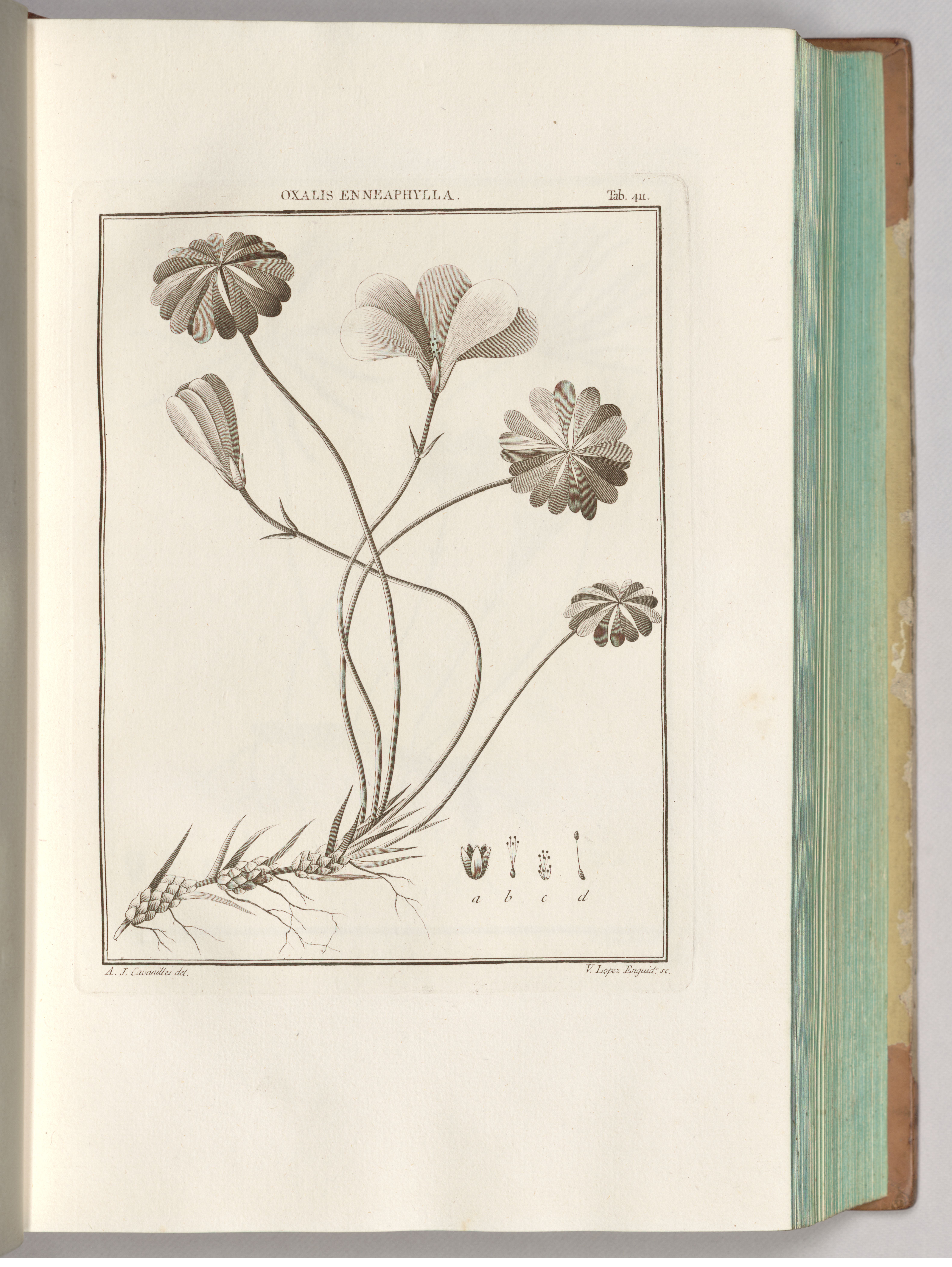 no full size  illustration available (3a)