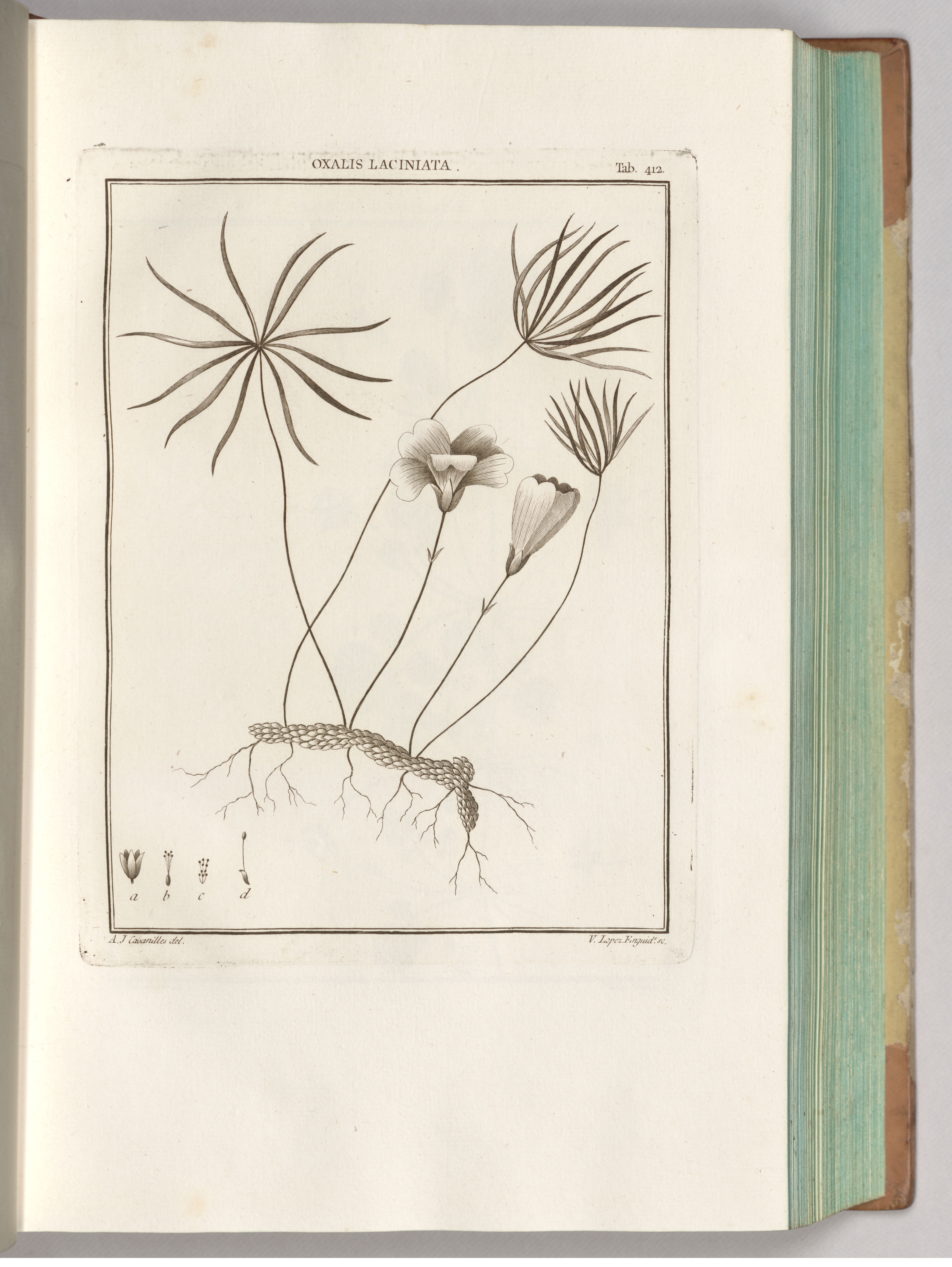 no full size  illustration available (3a)