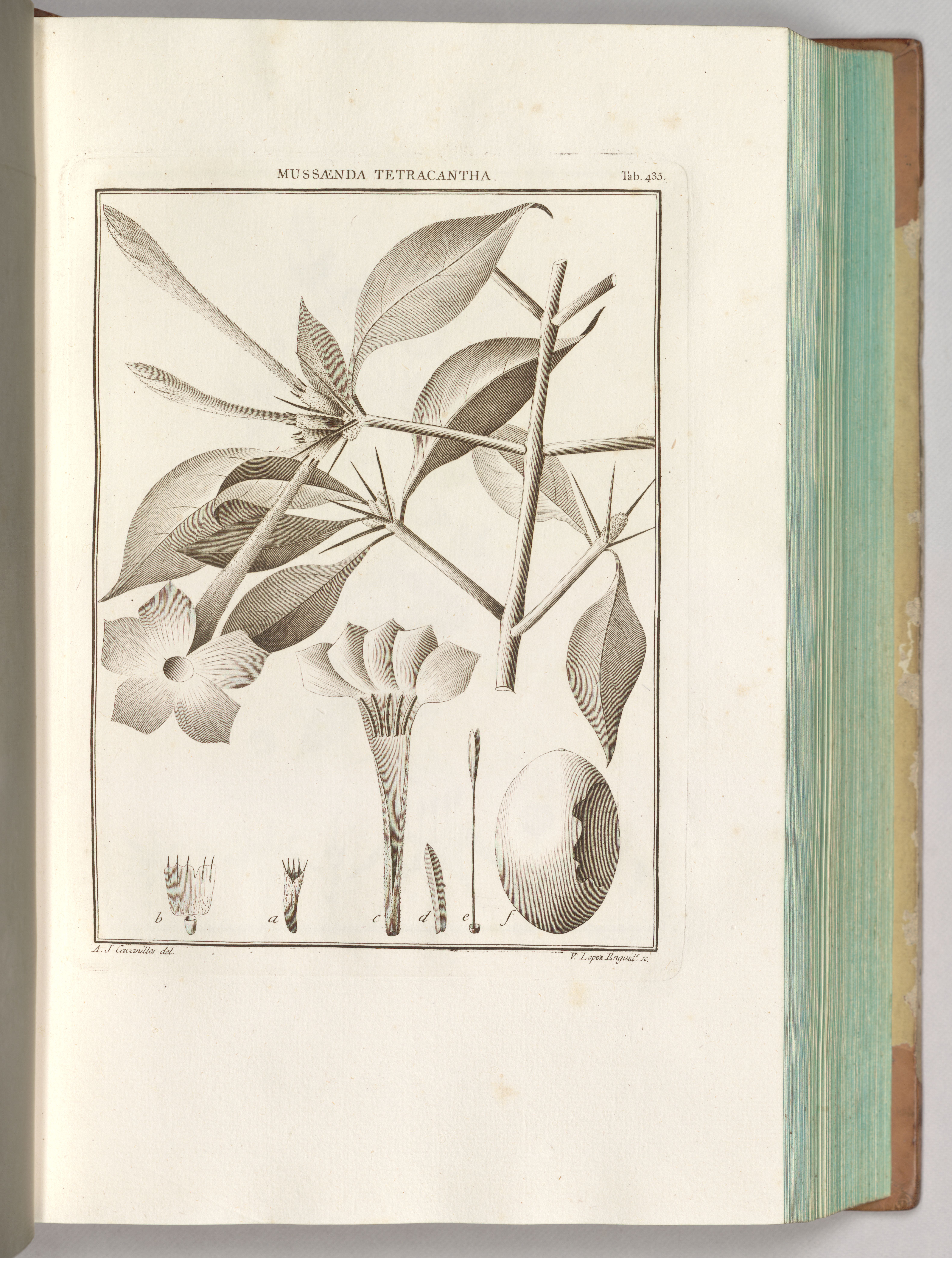 no full size  illustration available (3a)