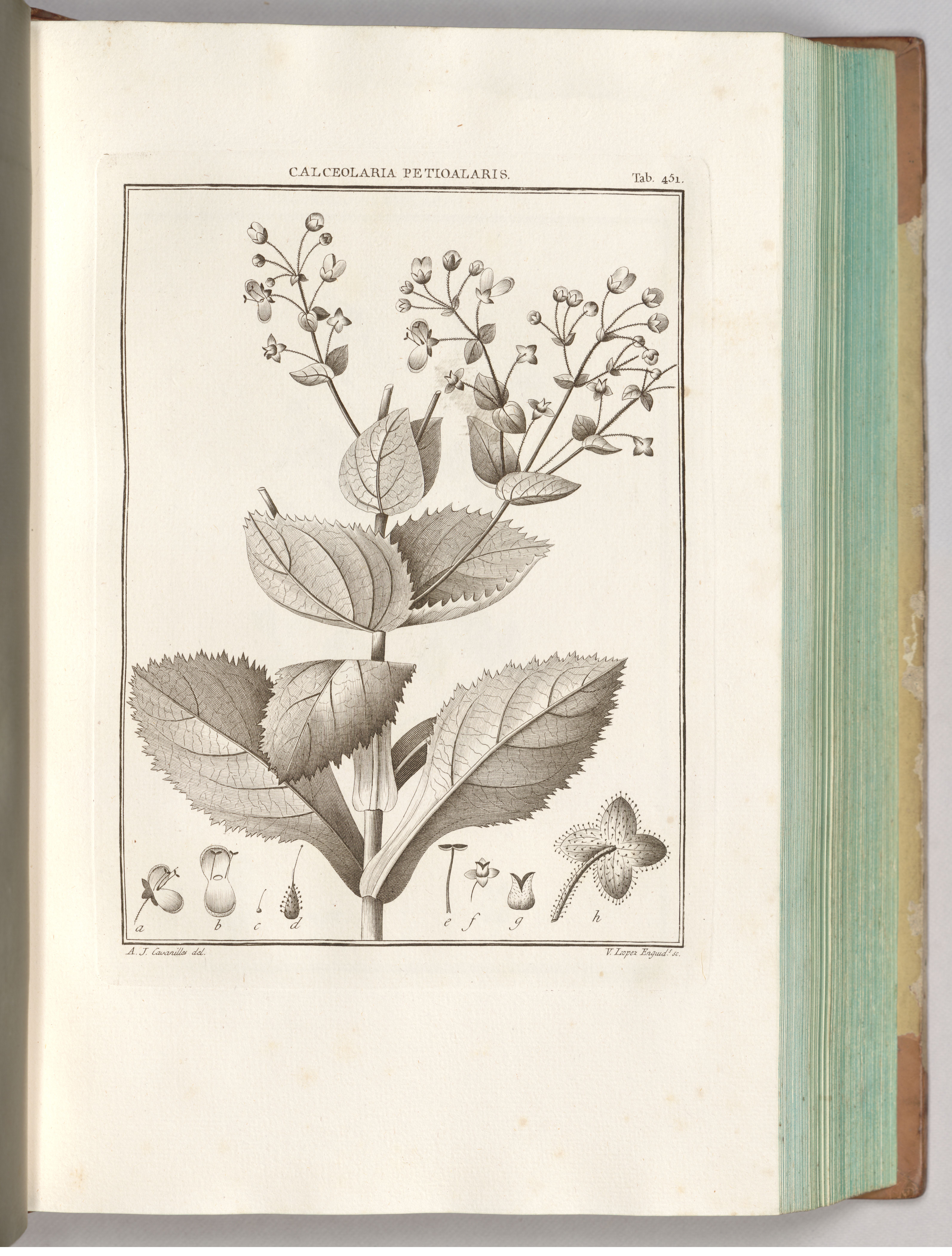 no full size  illustration available (3a)