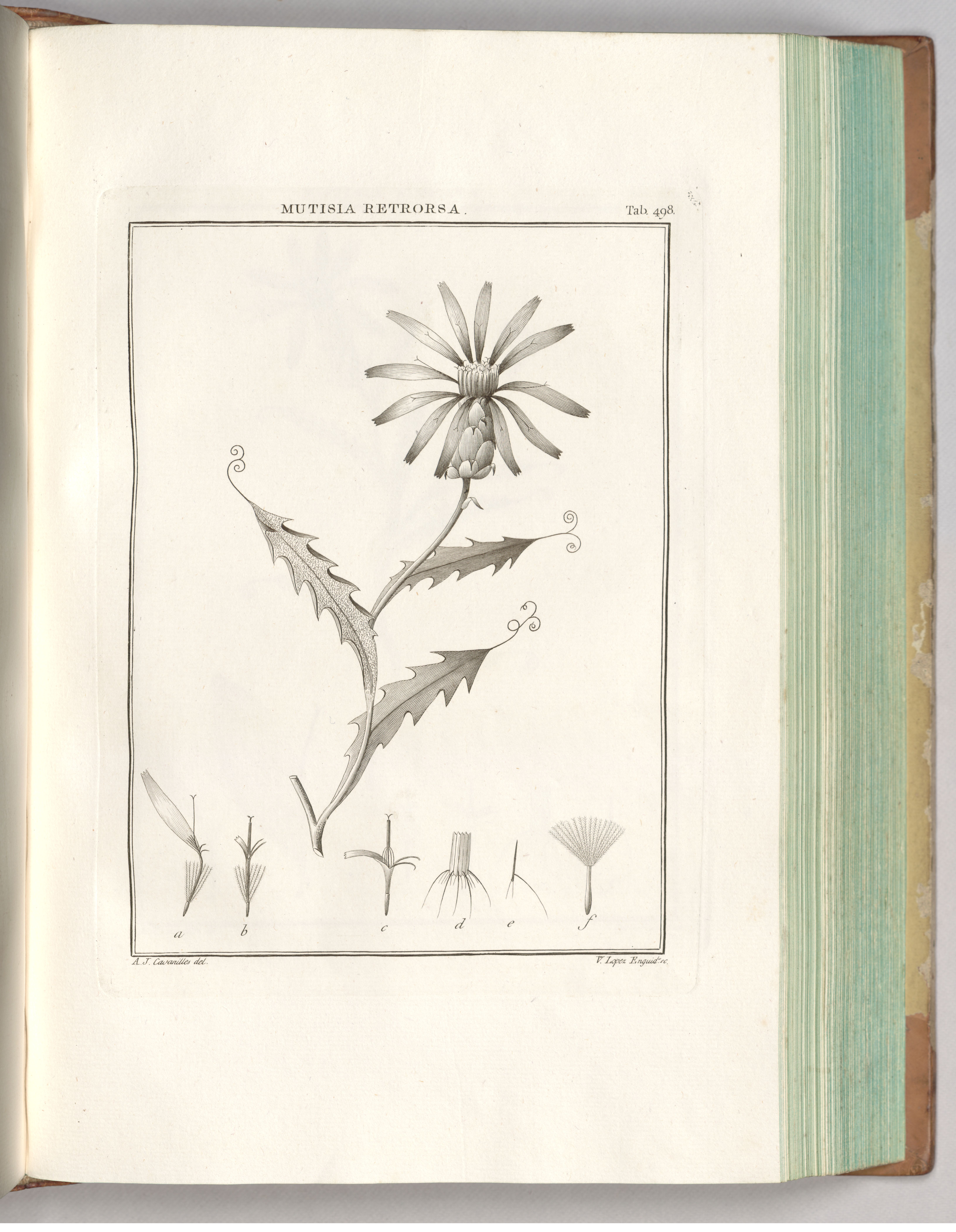 no full size  illustration available (3a)