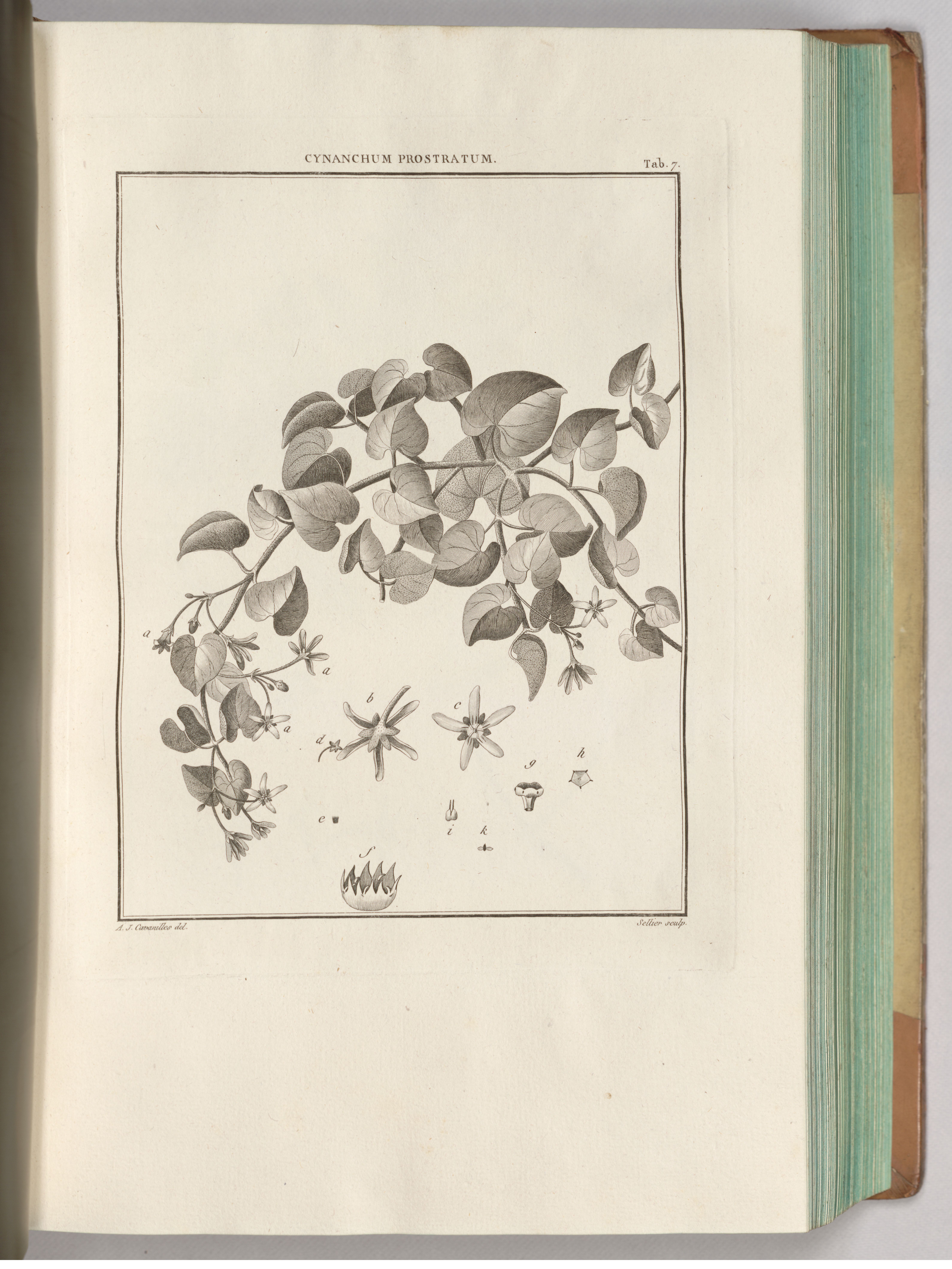 no full size  illustration available (3a)