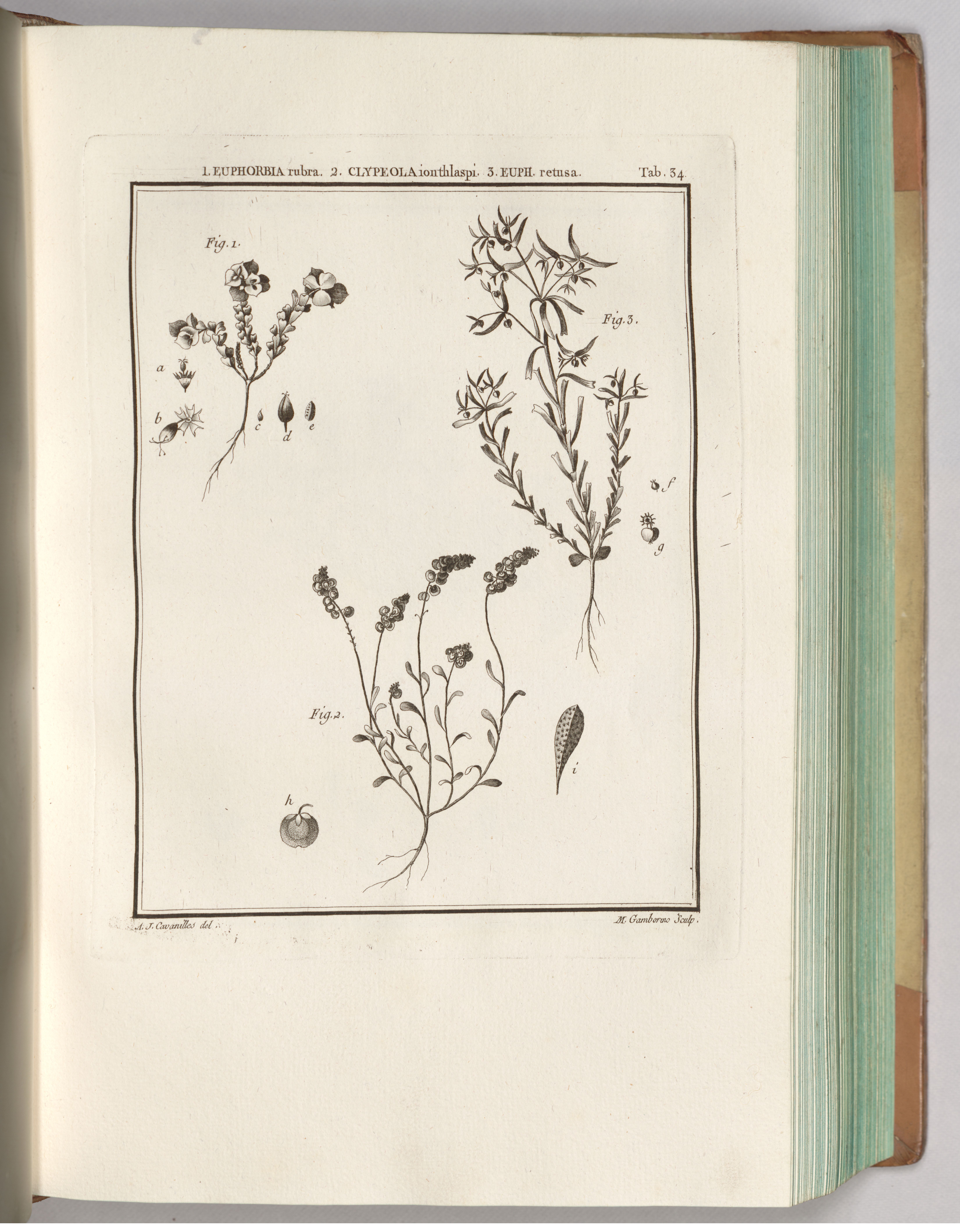 no full size  illustration available (3a)