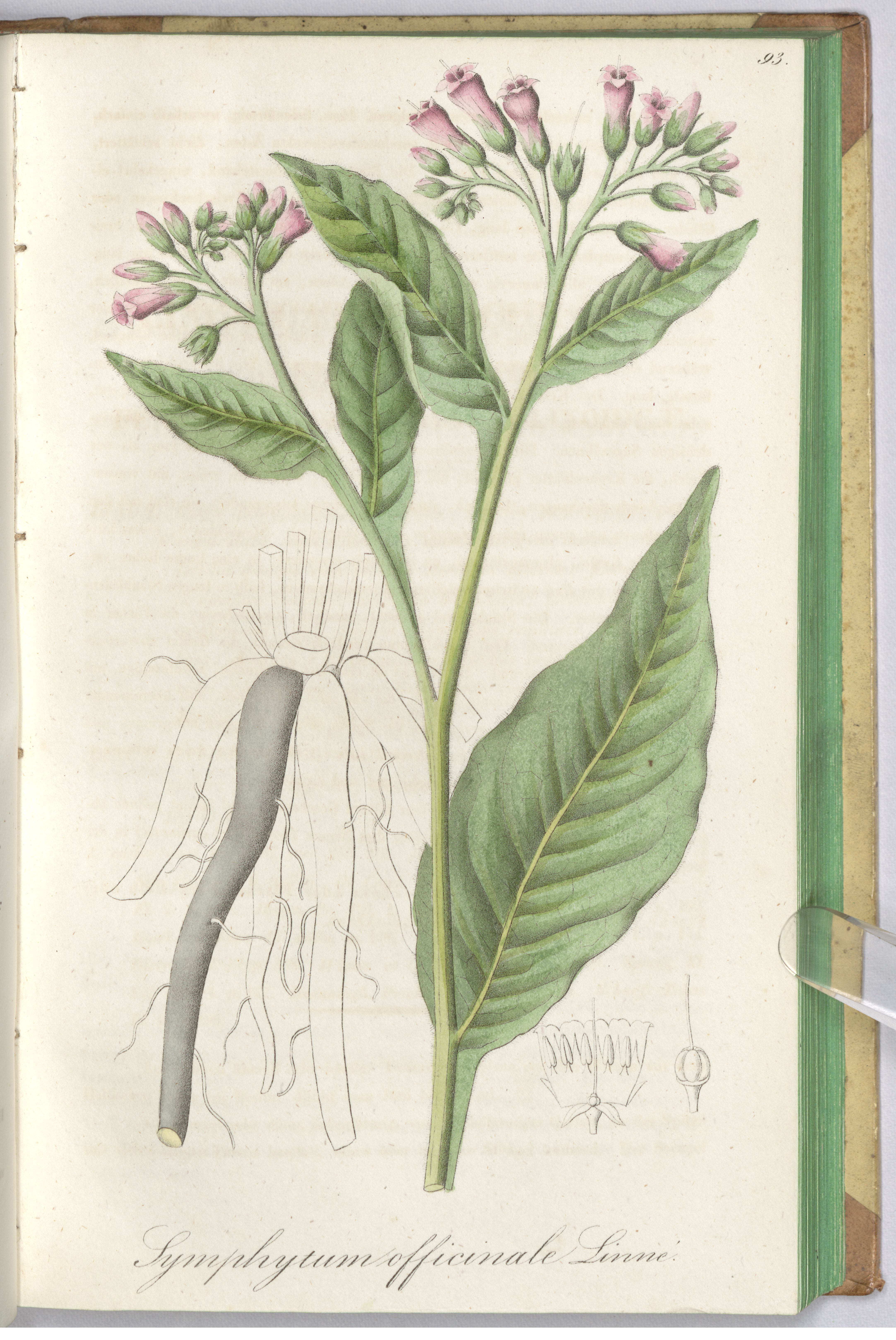 no full size  illustration available (3a)