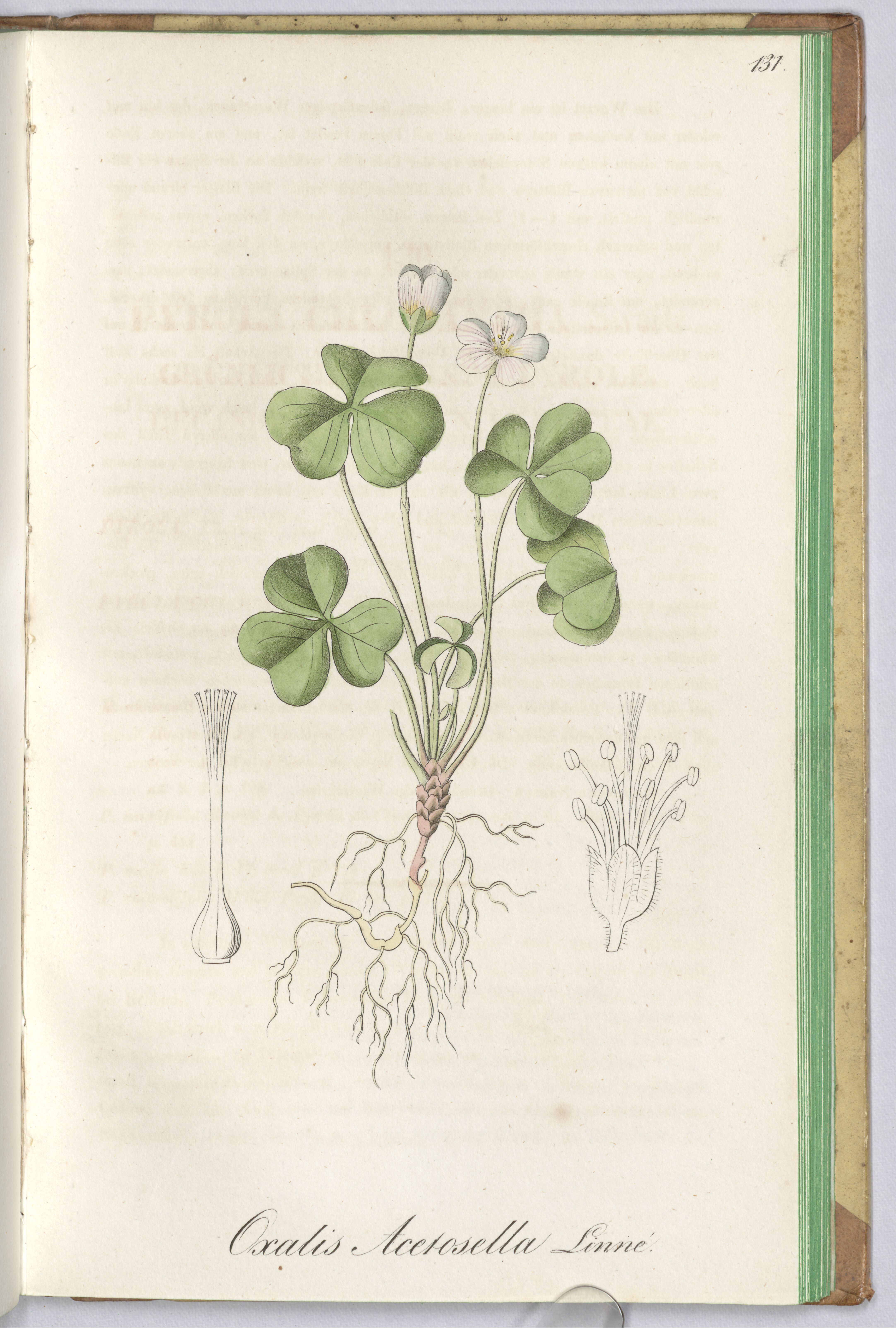 no full size  illustration available (3a)