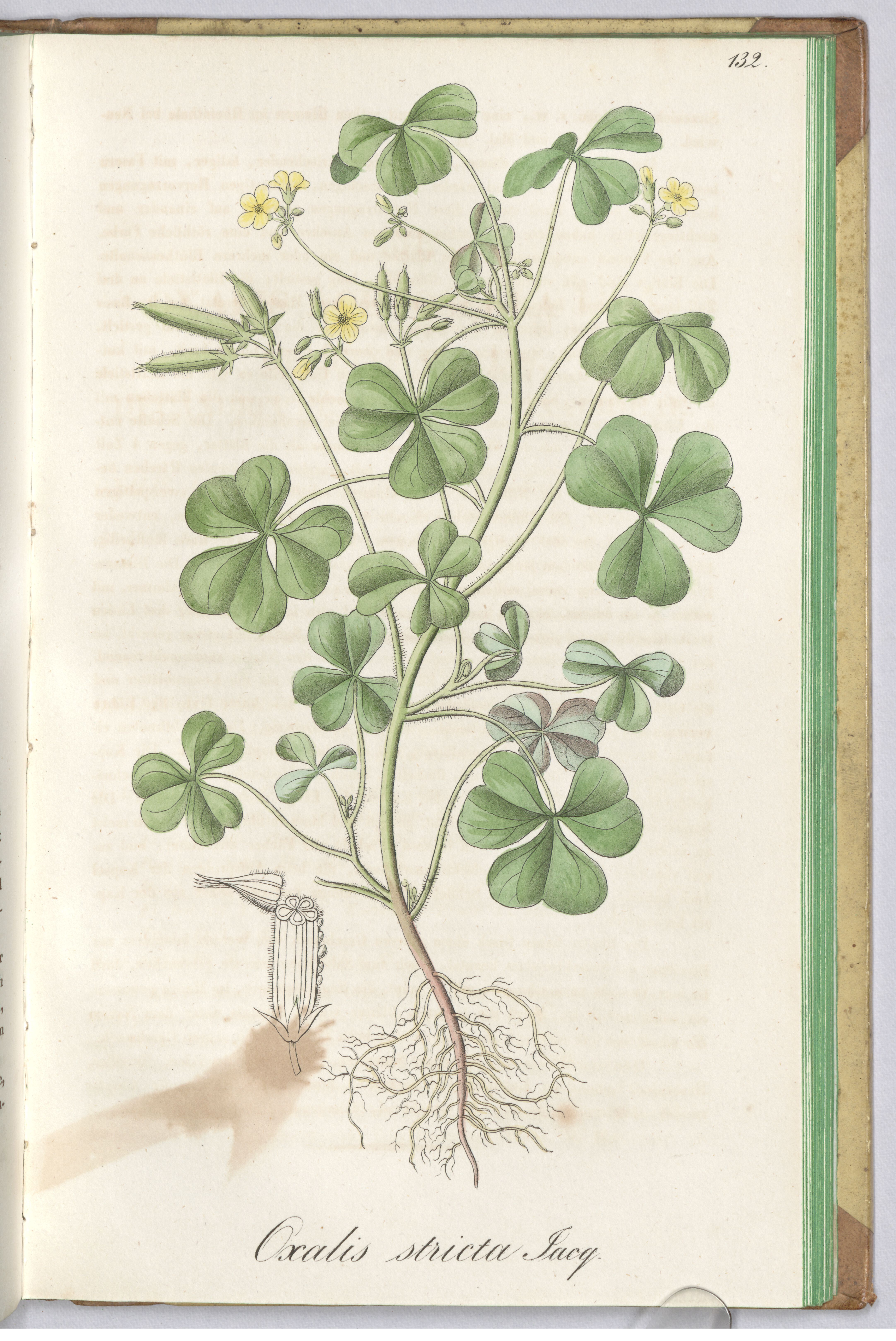 no full size  illustration available (3a)