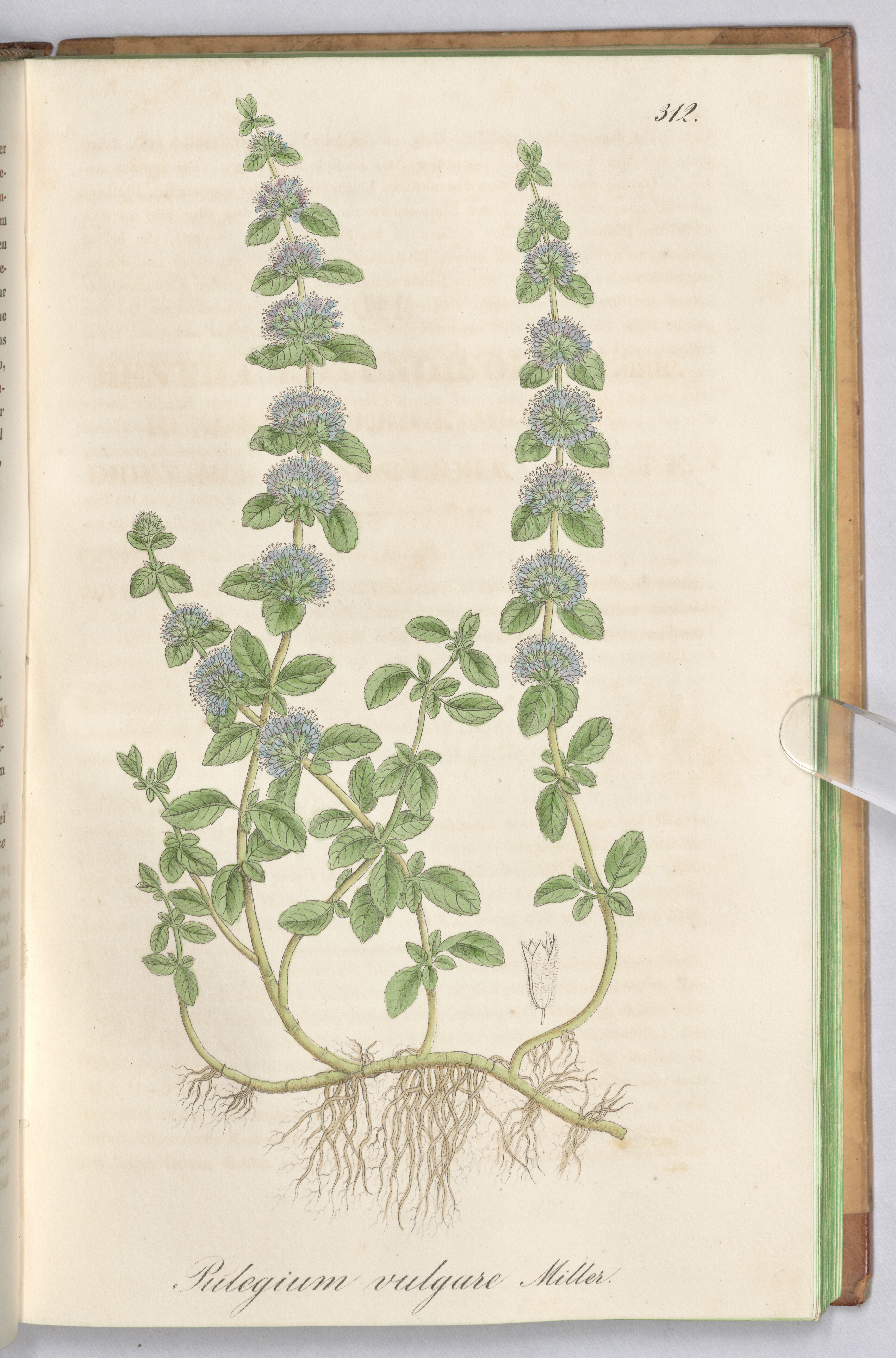 no full size  illustration available (3a)