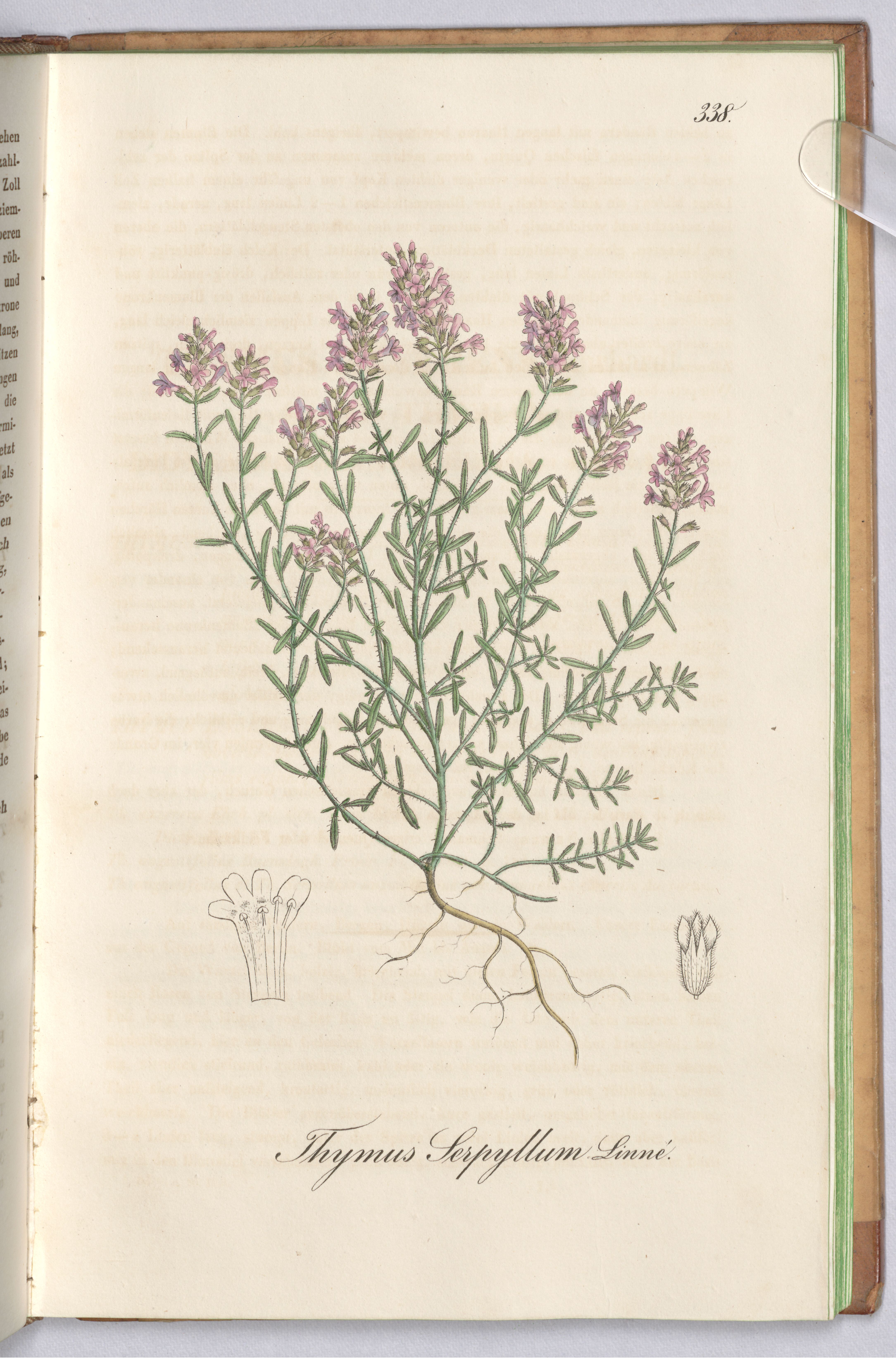 no full size  illustration available (3a)