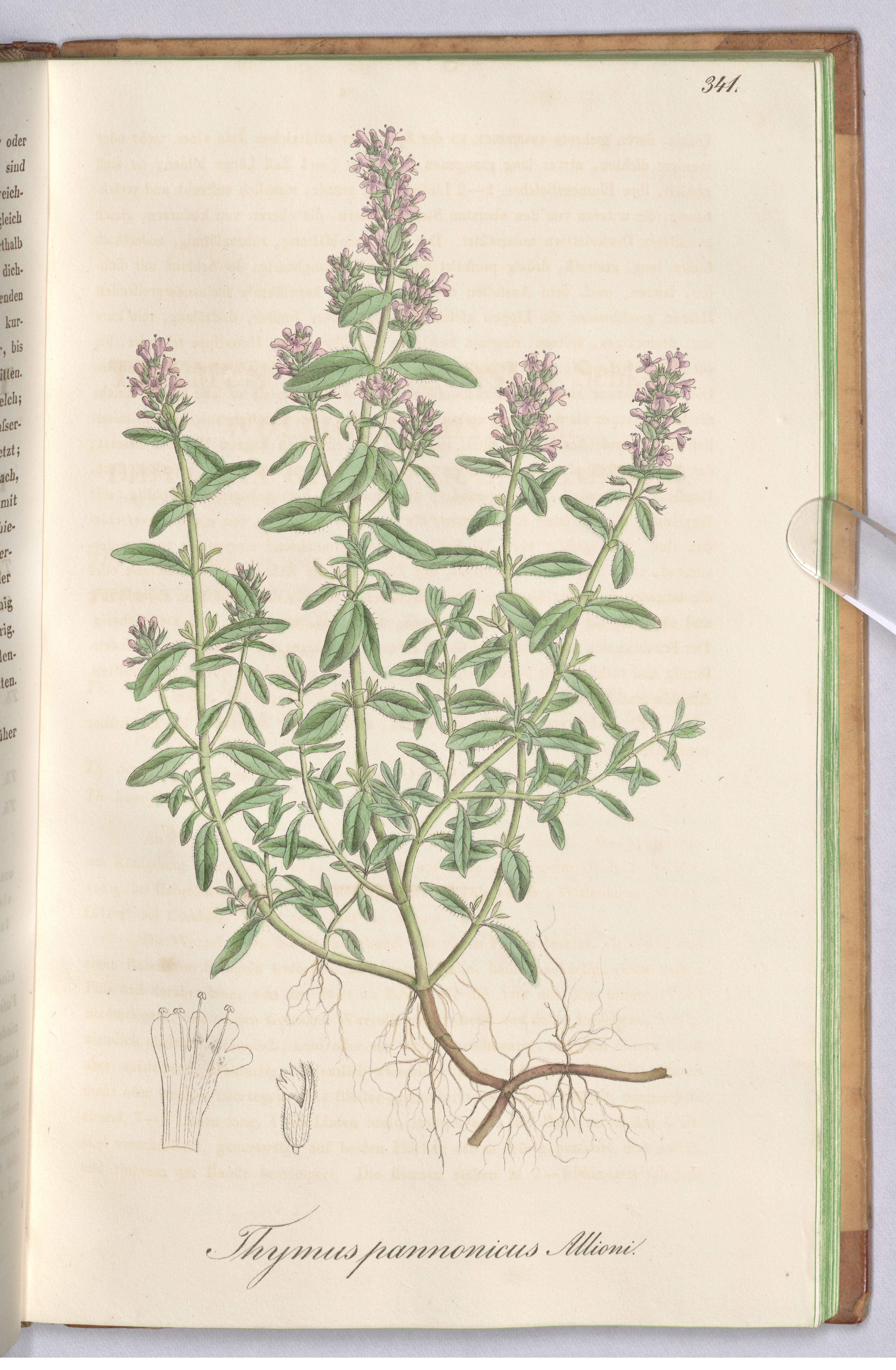 no full size  illustration available (3a)