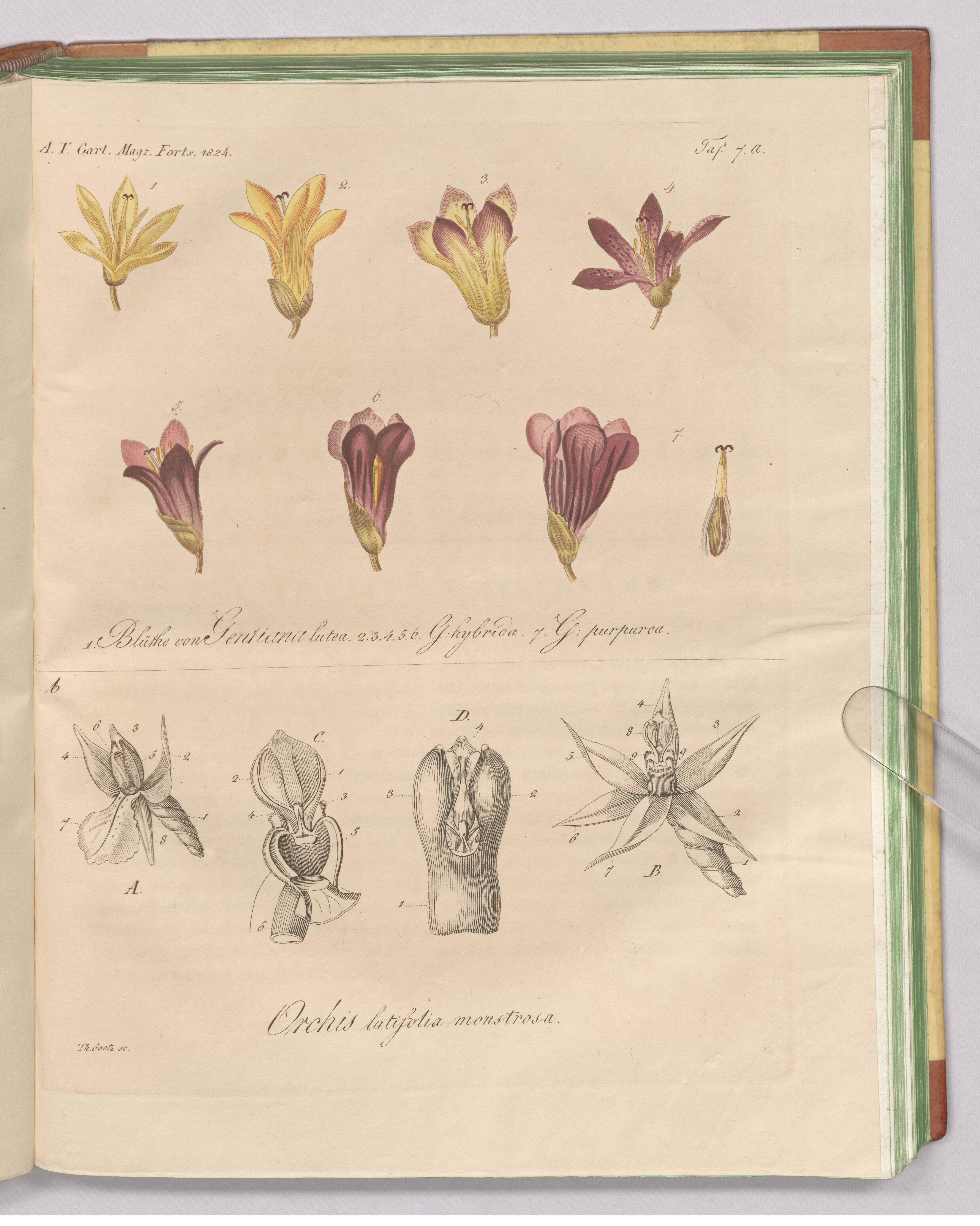 no full size  illustration available (3a)