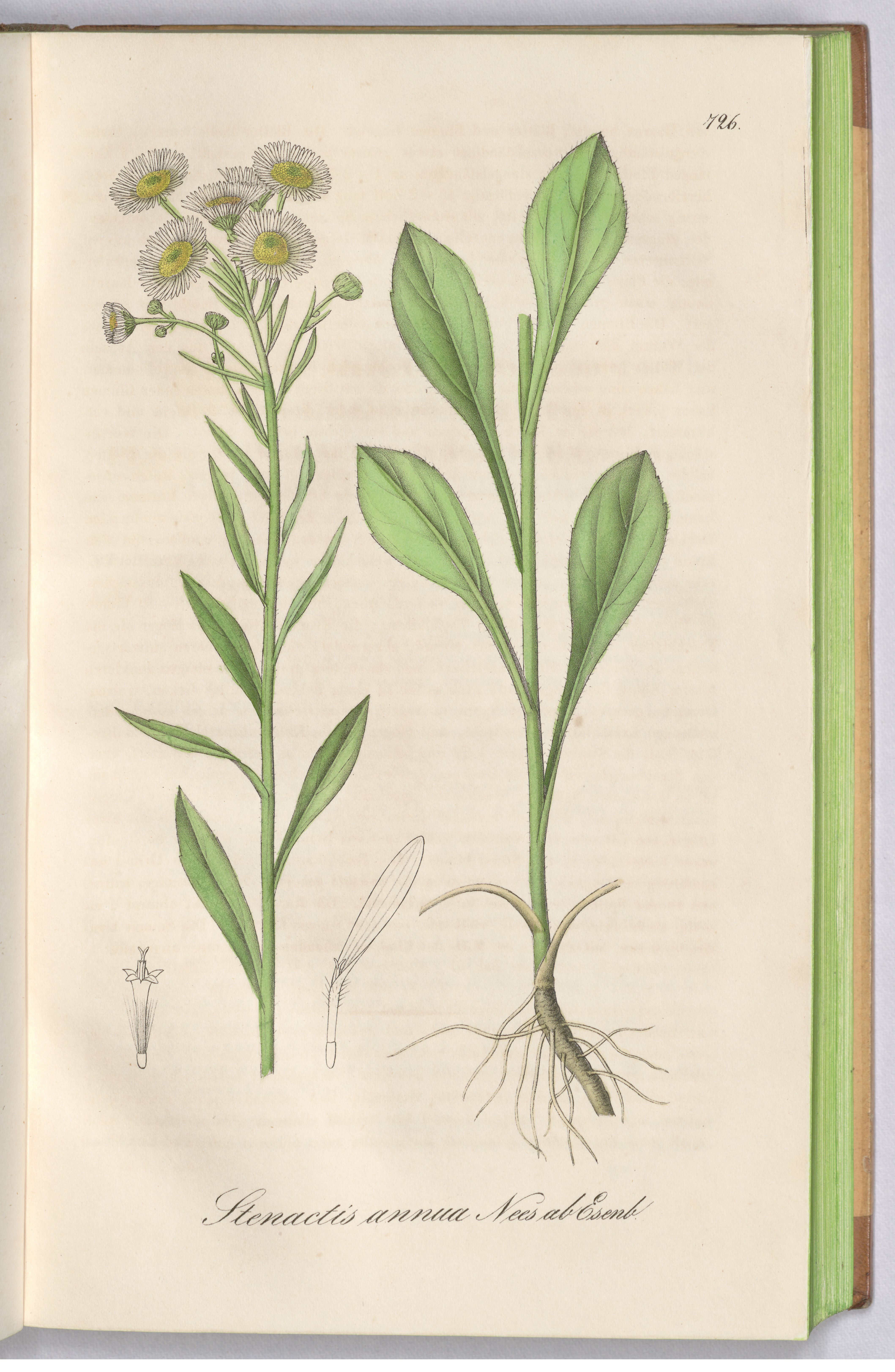 no full size  illustration available (3a)