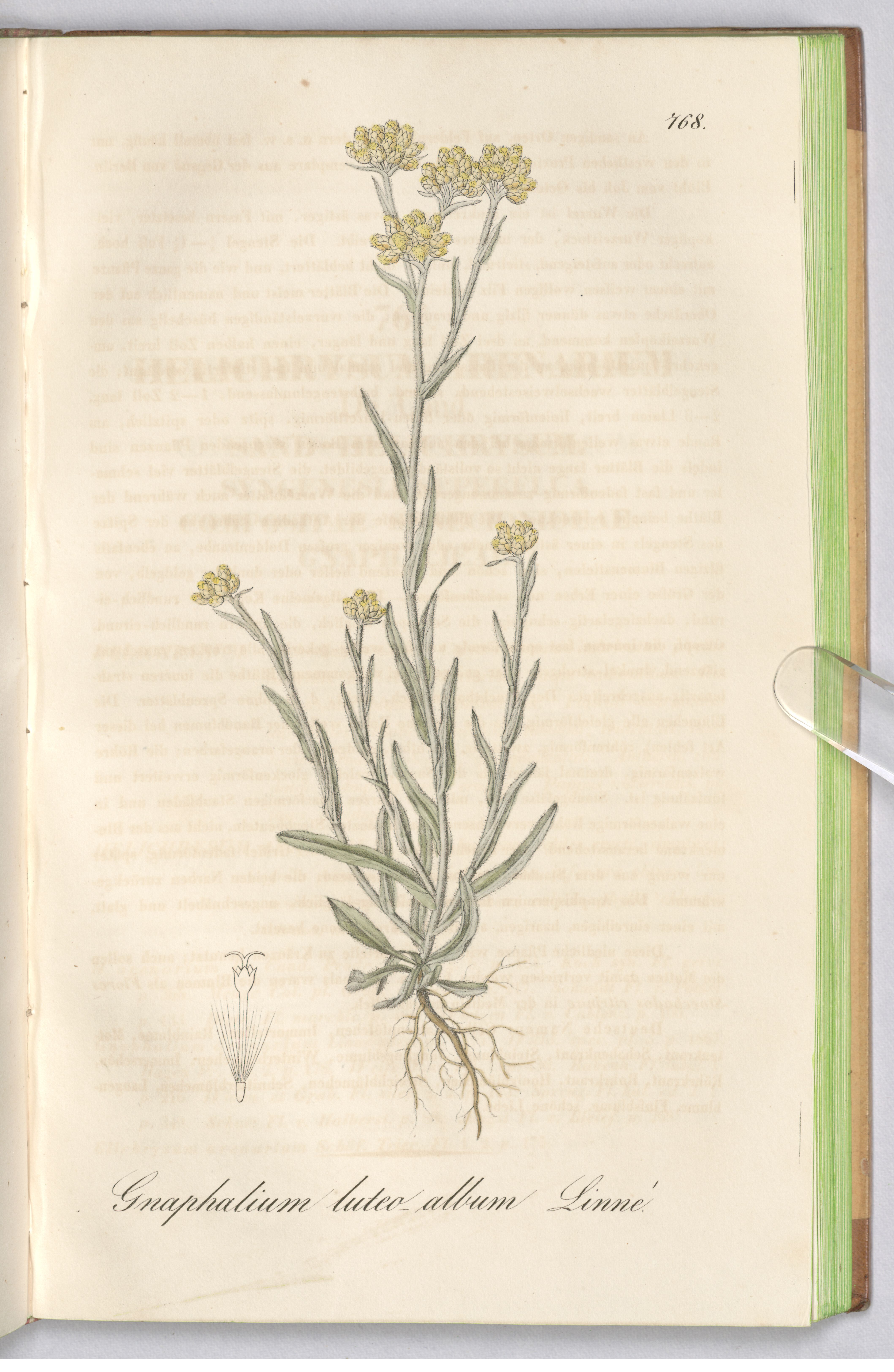 no full size  illustration available (3a)