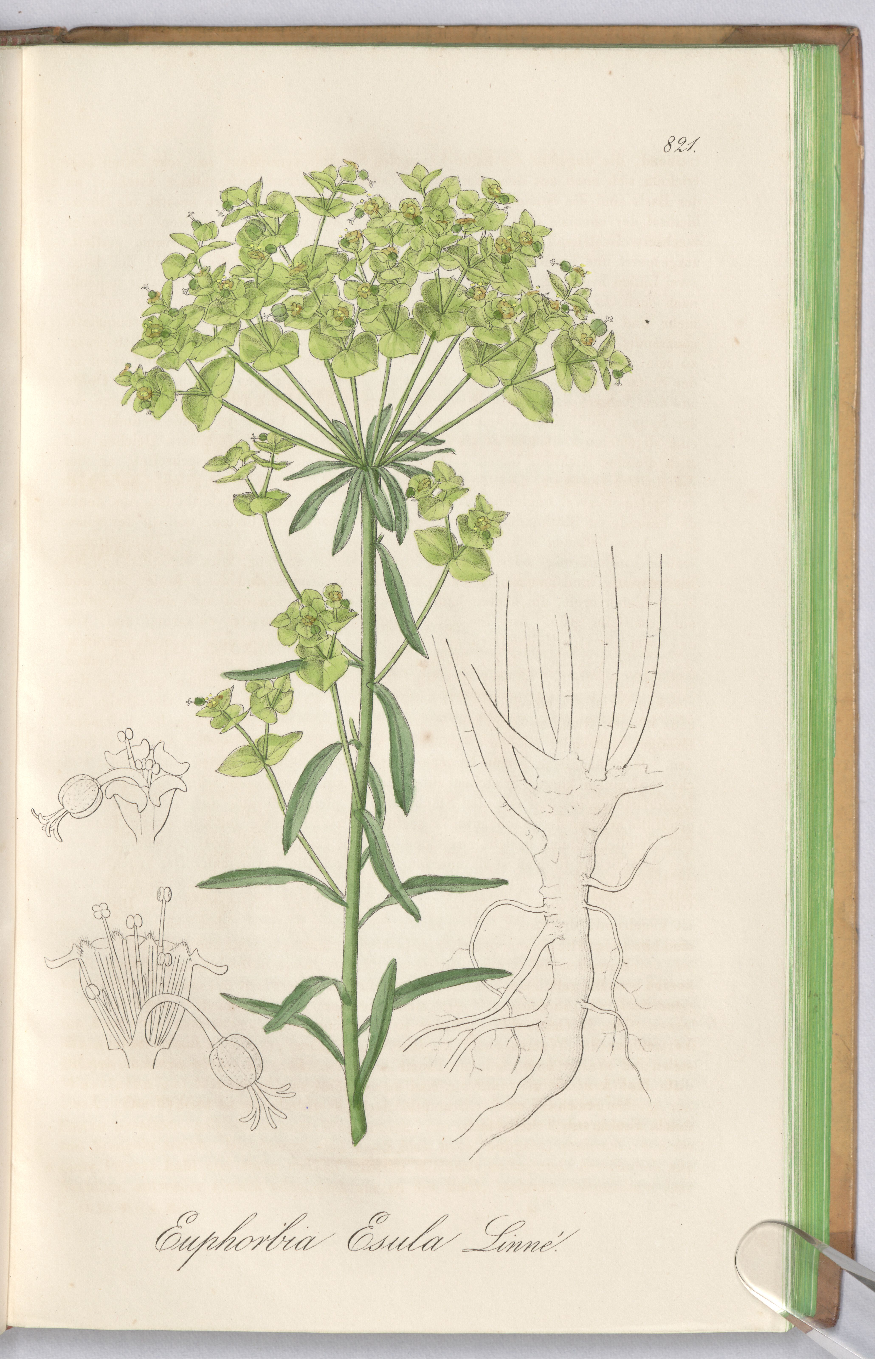 no full size  illustration available (3a)