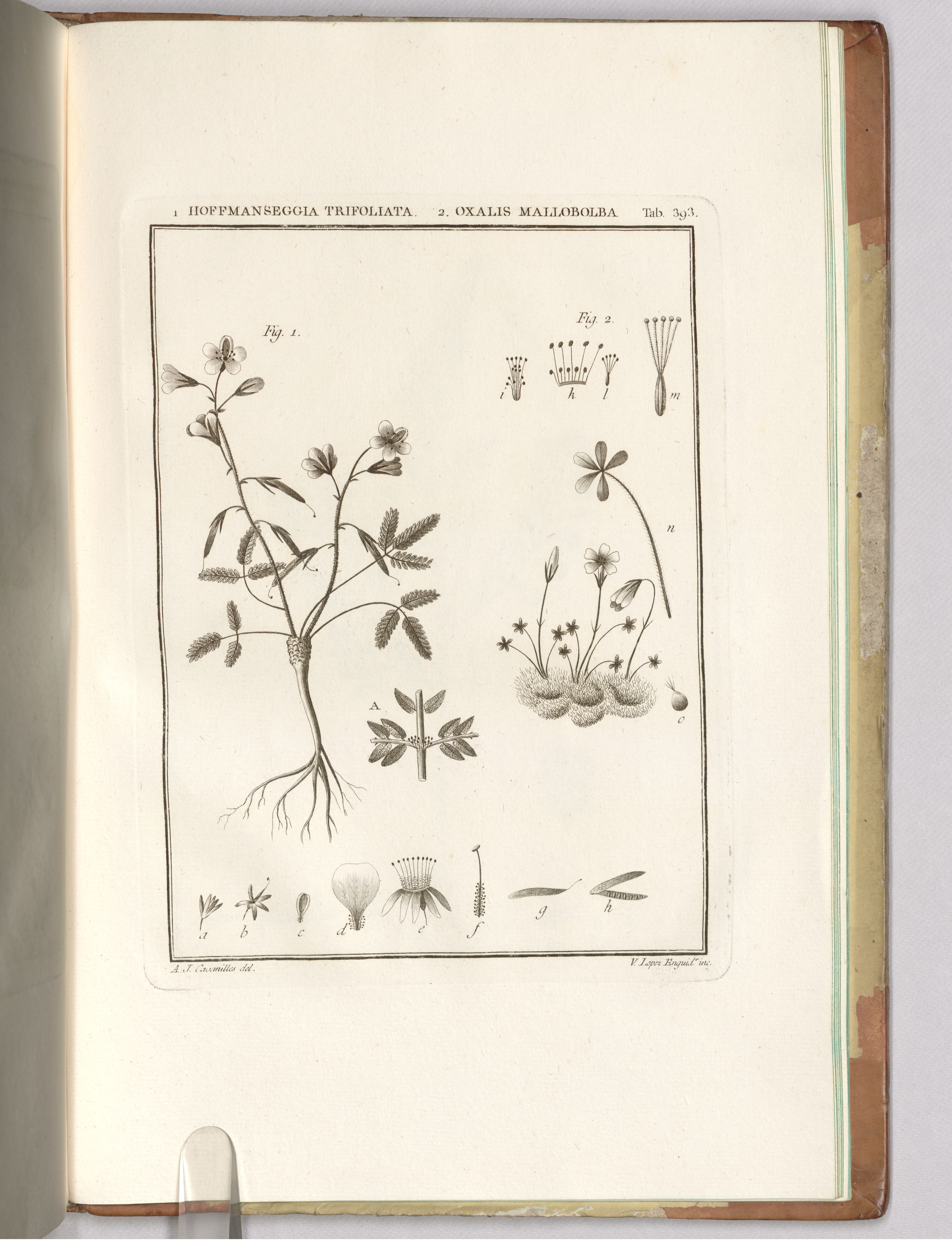 no full size  illustration available (3a)