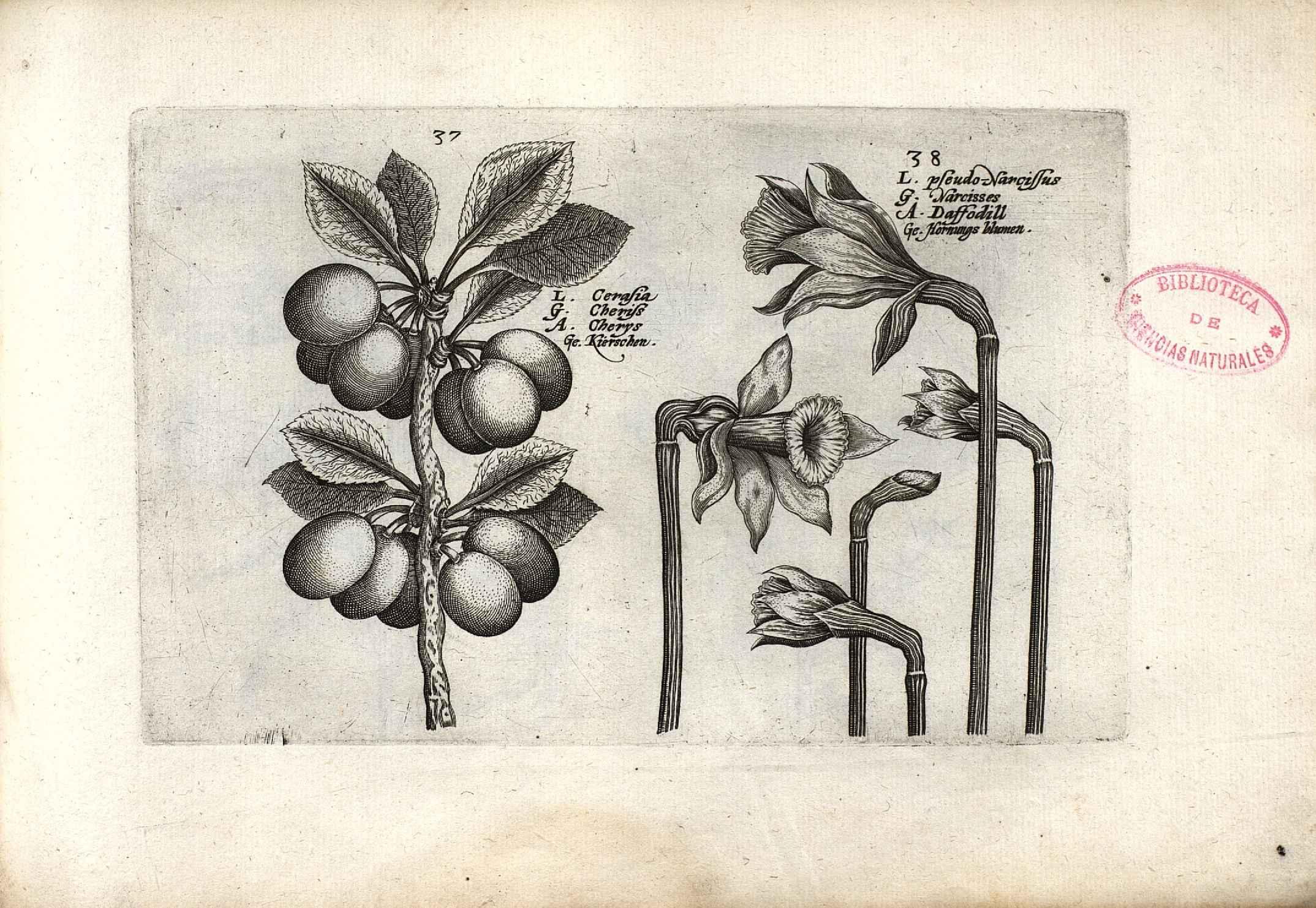 no full size  illustration available (3a)