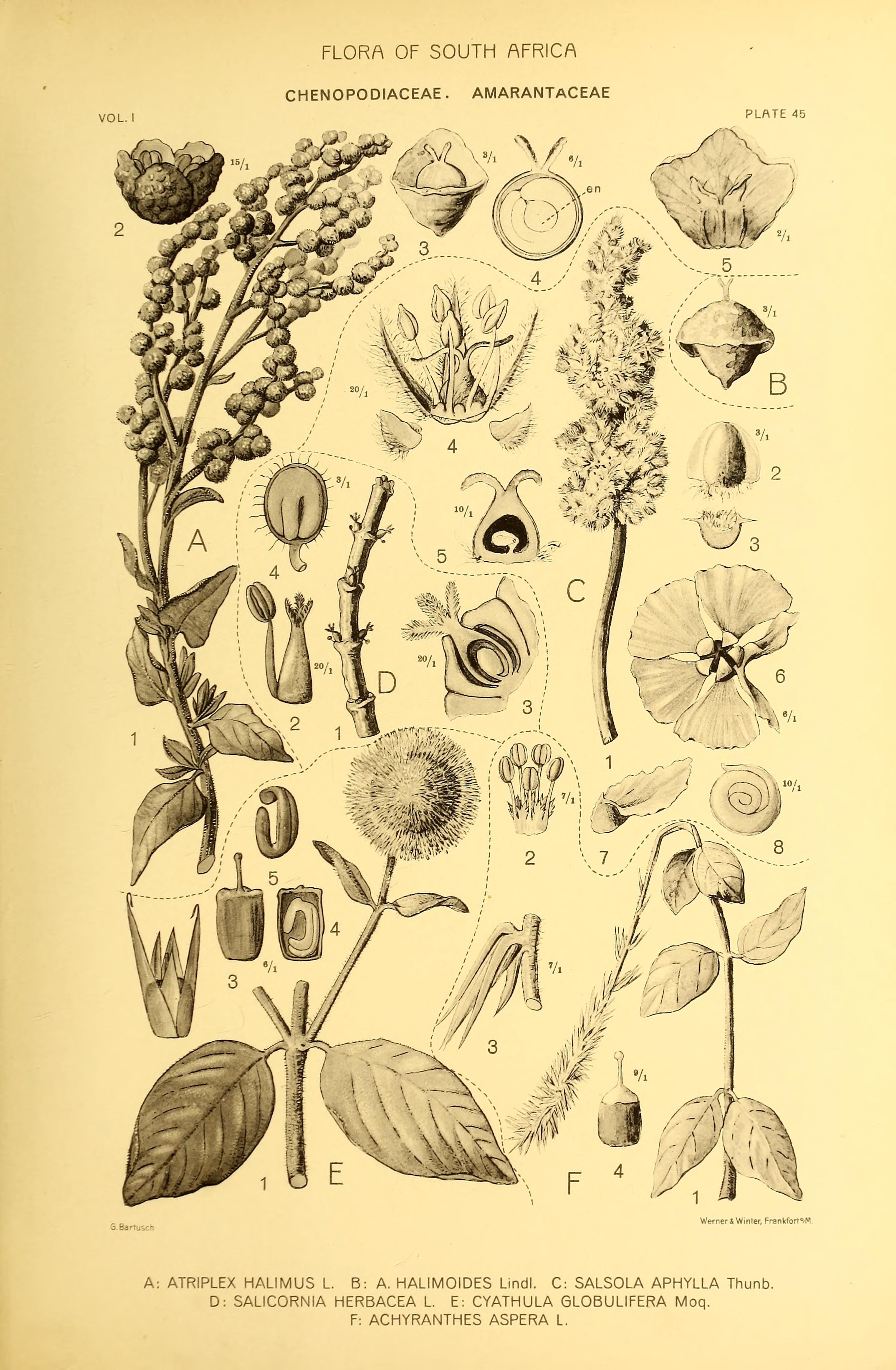 no full size  illustration available (3a)