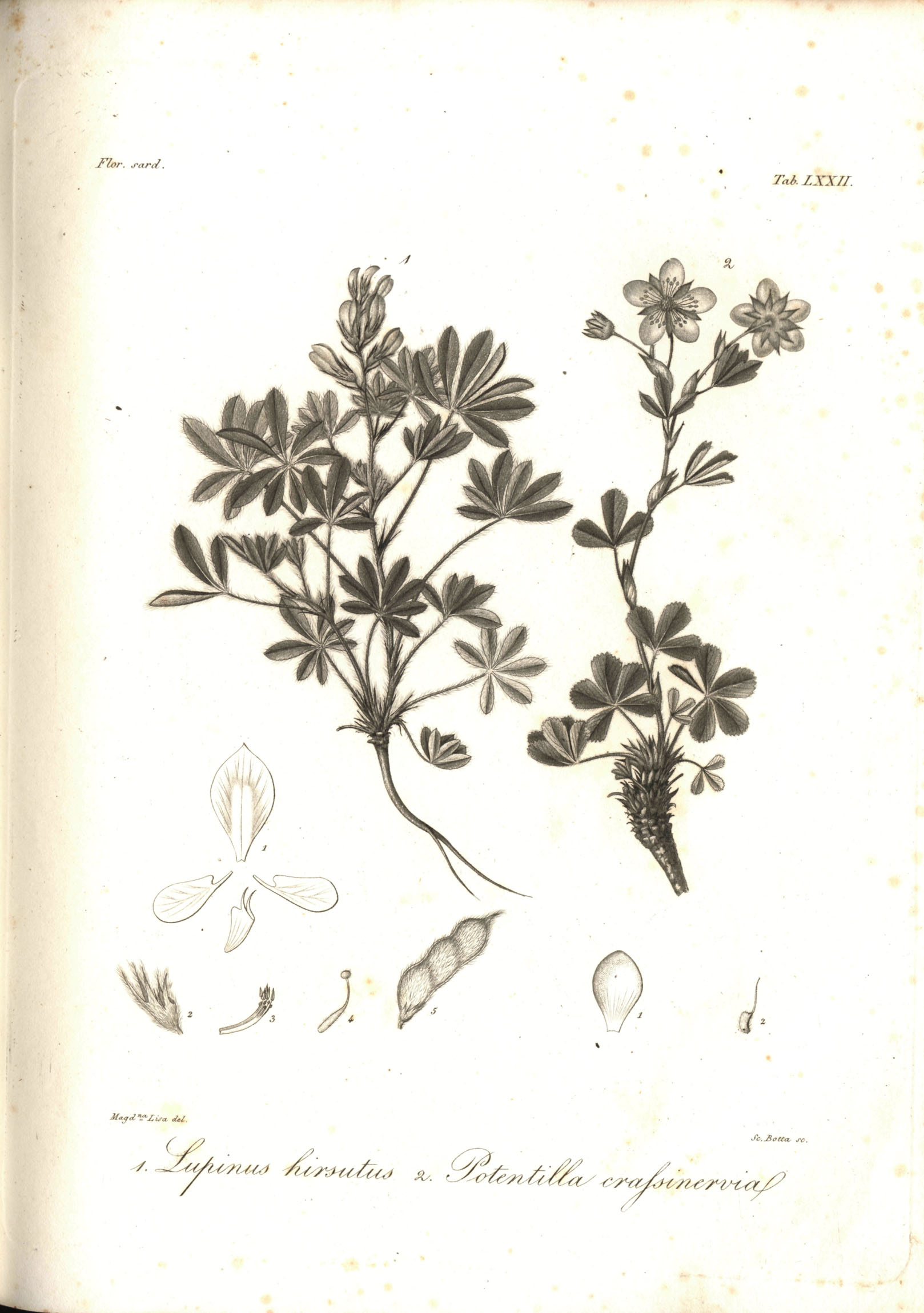 no full size  illustration available (3a)