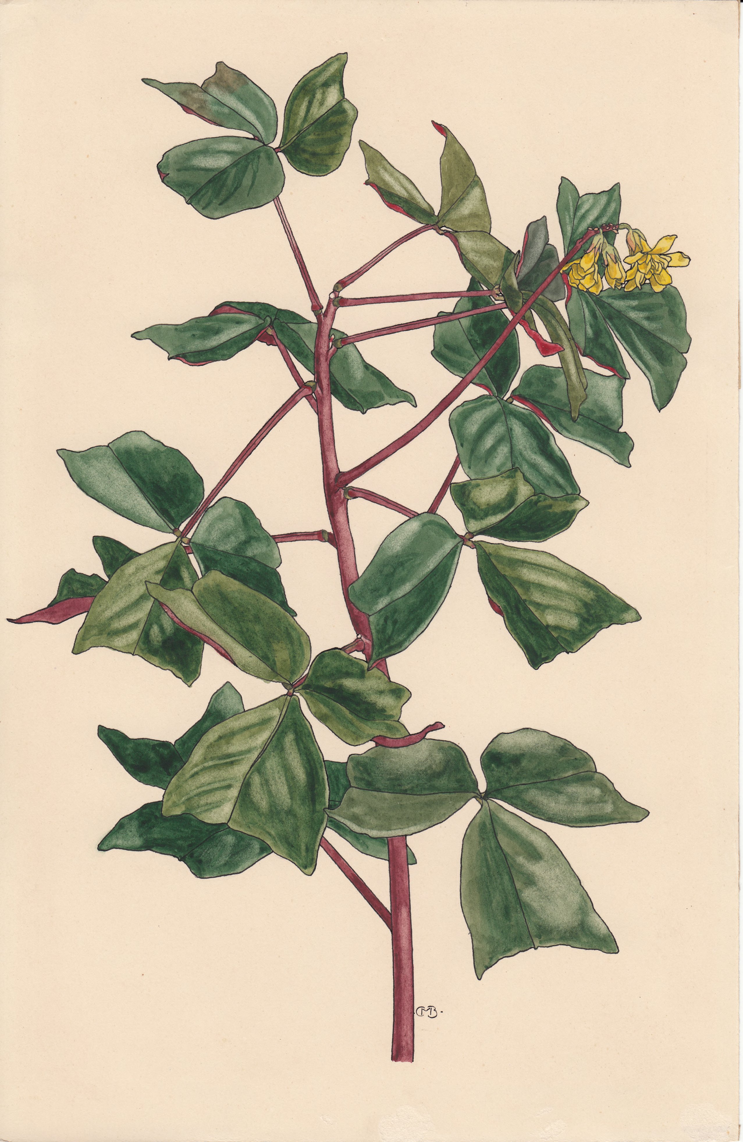 no full size  illustration available (3a)