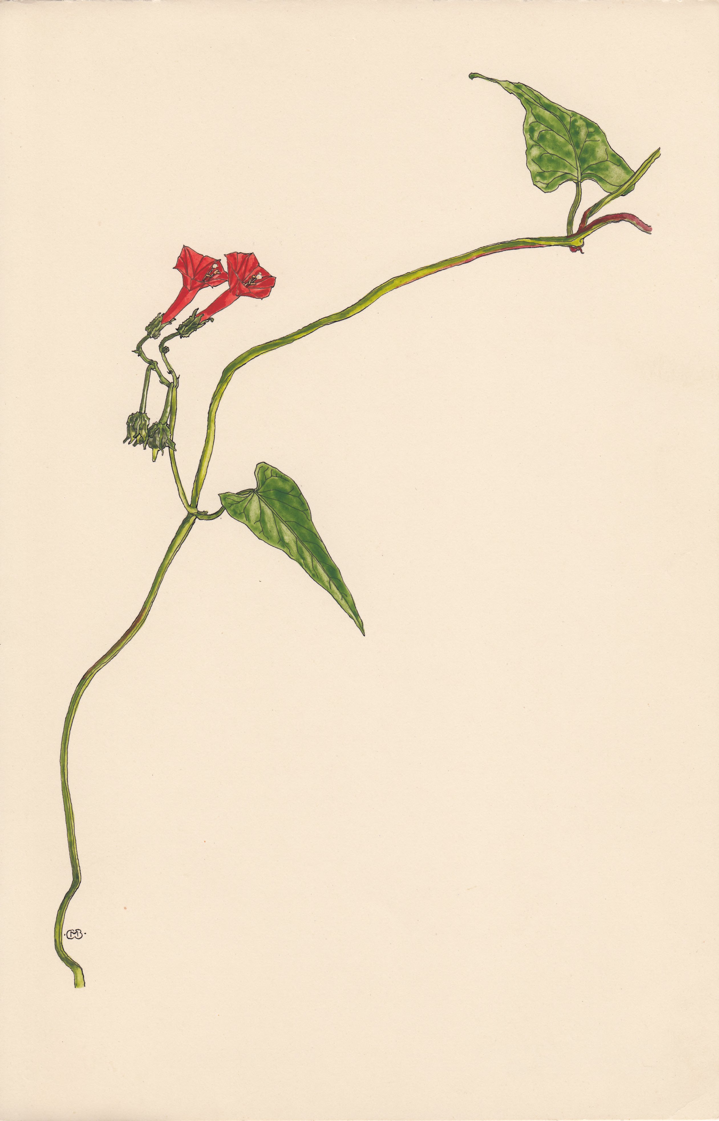 no full size  illustration available (3a)