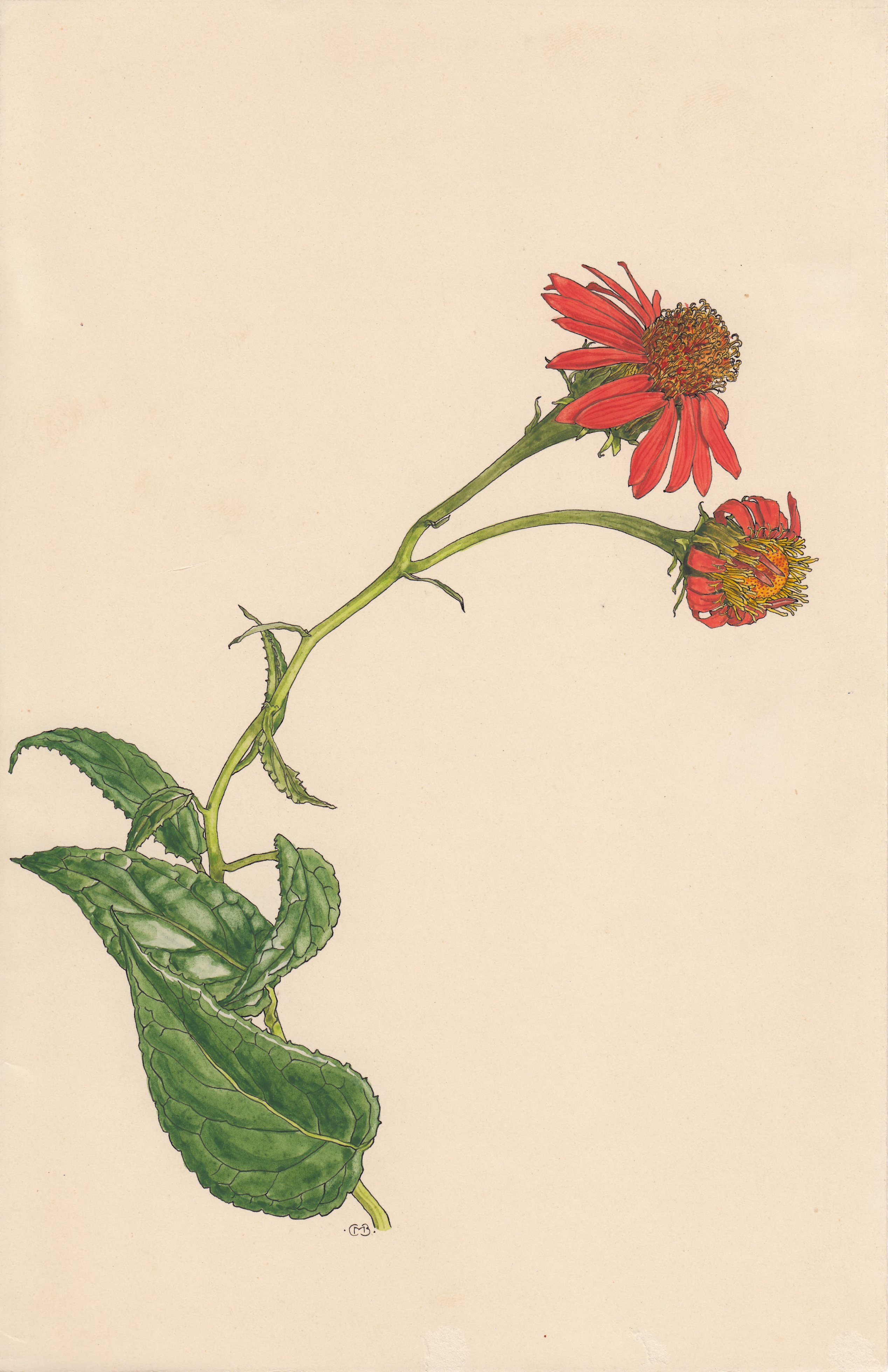 no full size  illustration available (3a)