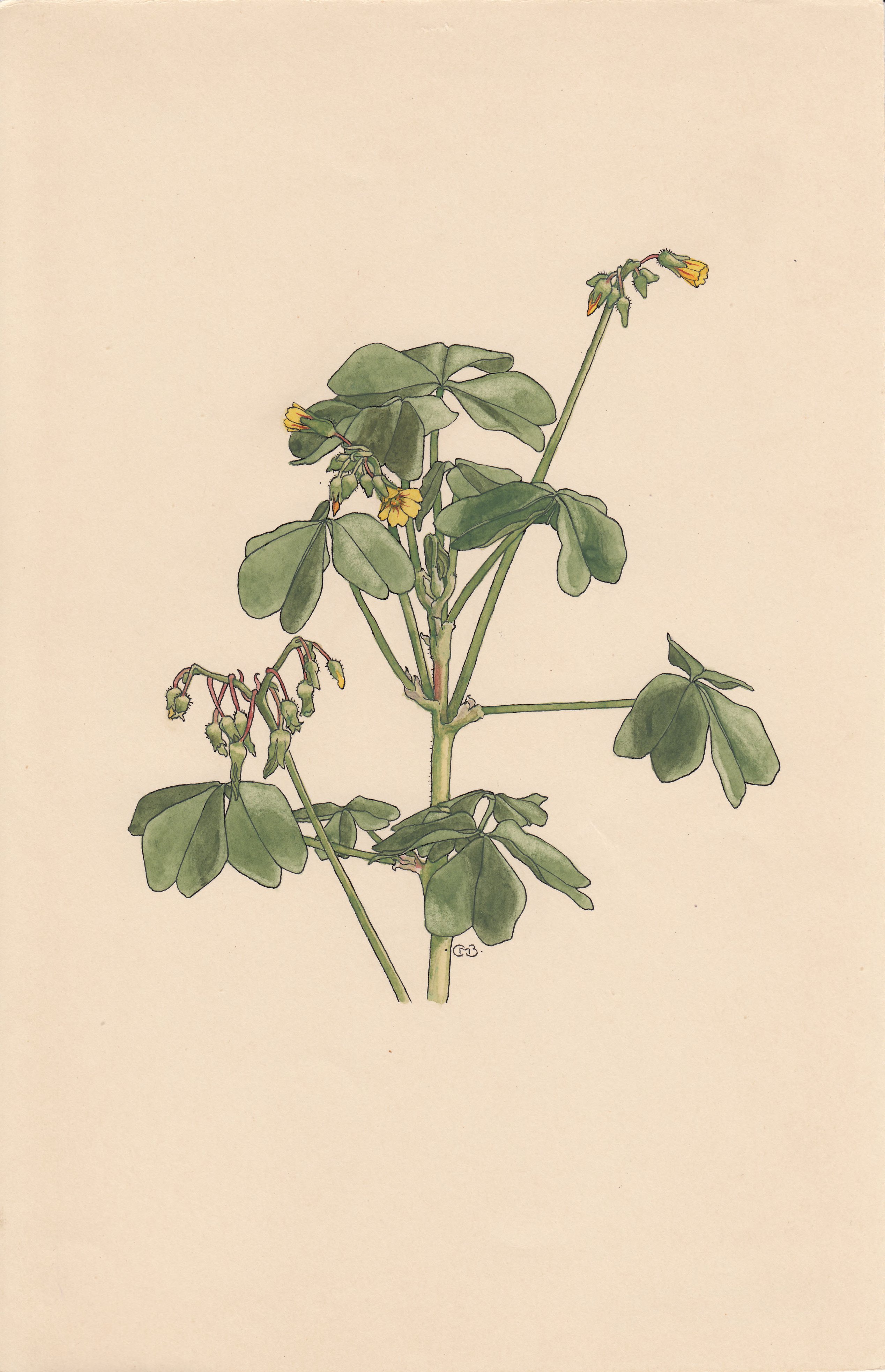 no full size  illustration available (3a)