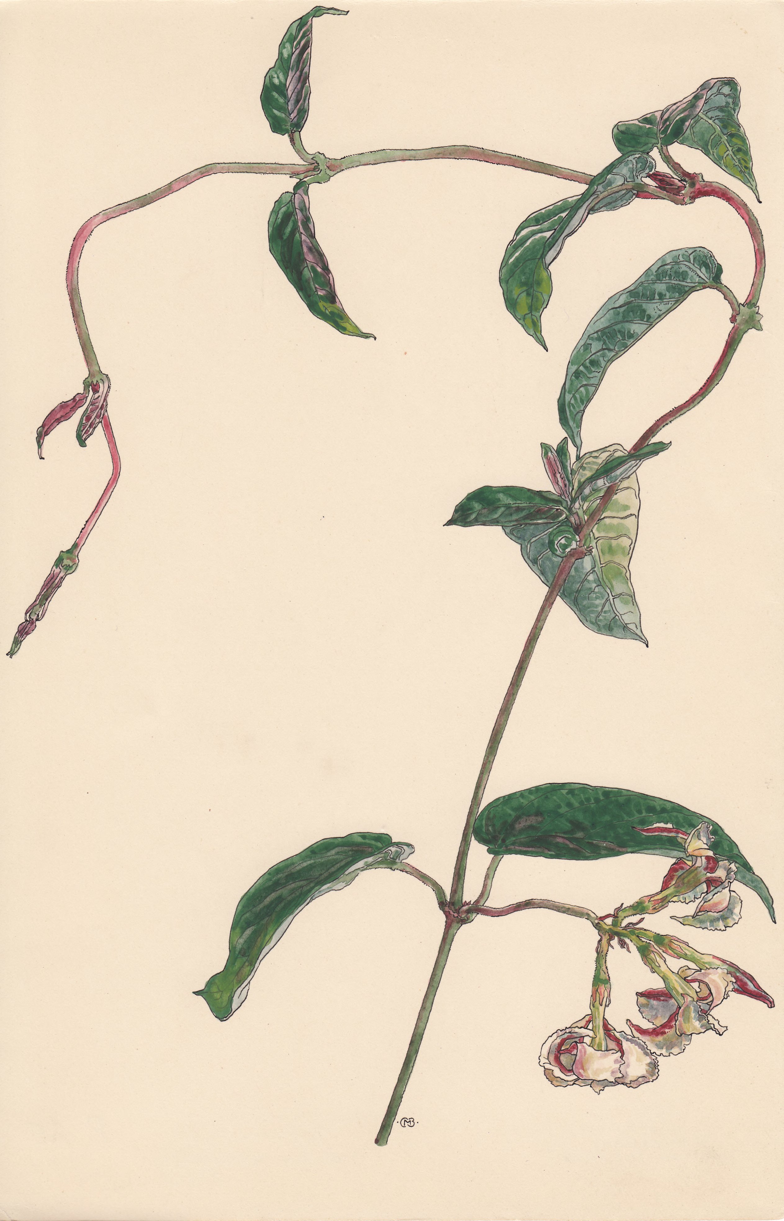 no full size  illustration available (3a)