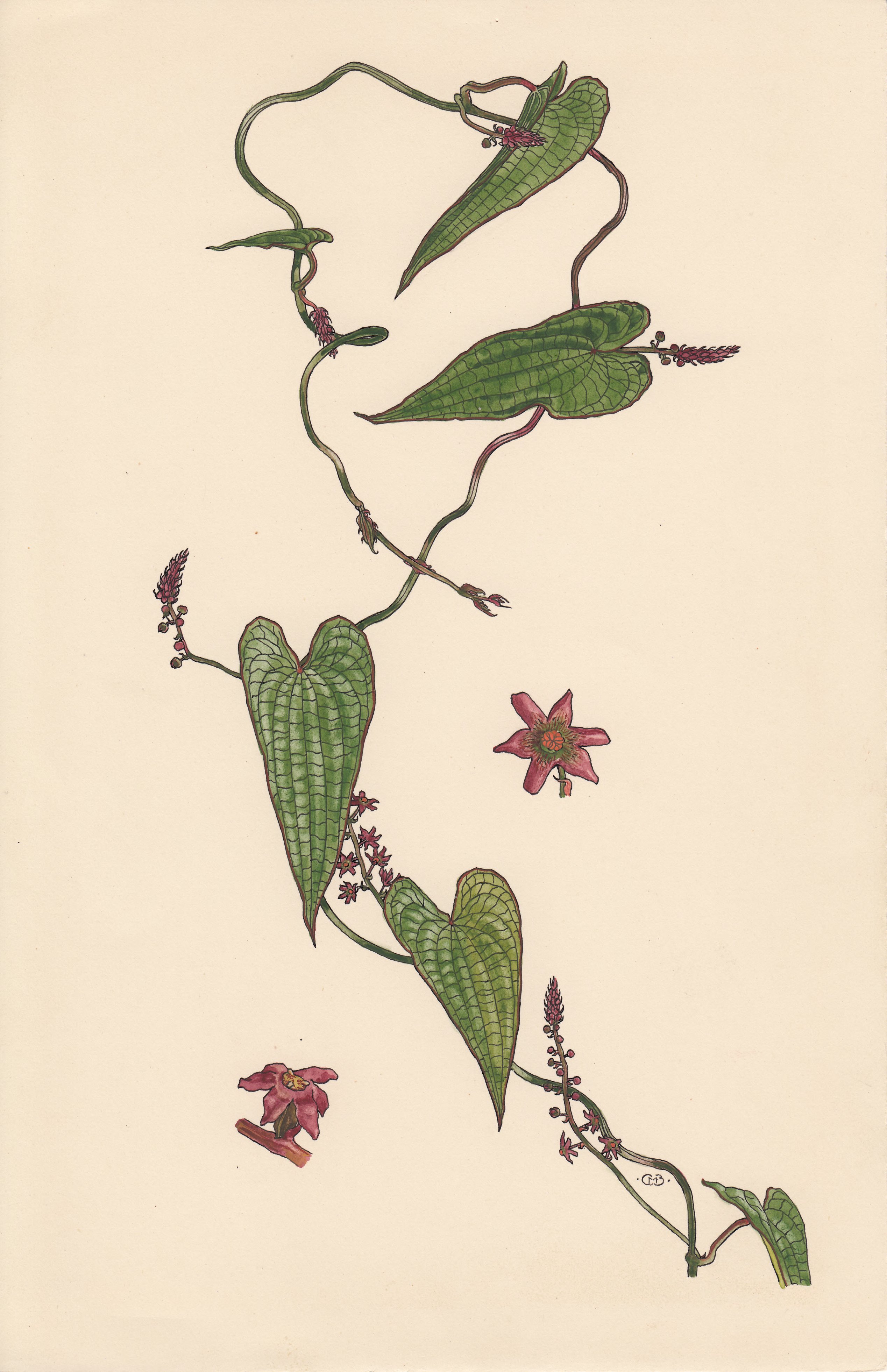 no full size  illustration available (3a)