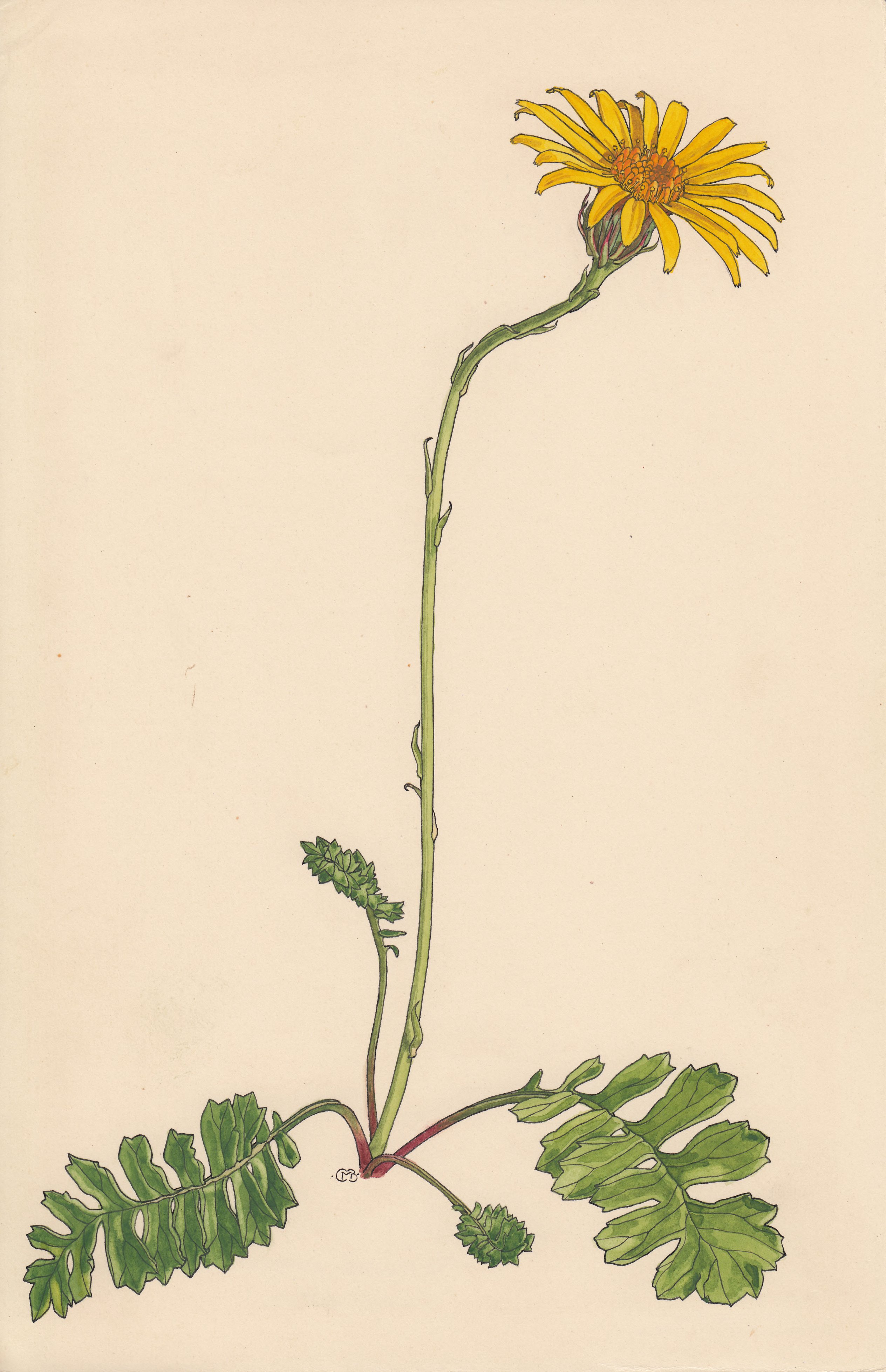 no full size  illustration available (3a)